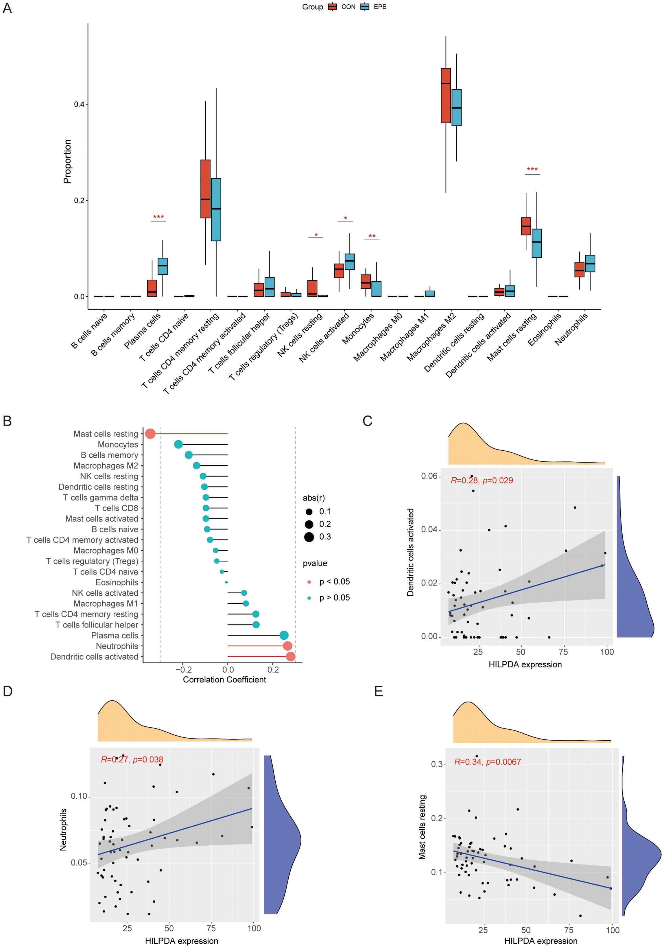Panel A shows a box plot comparing immune cell proportions between groups labeled CON and EPE. Panel B displays a correlation dot plot of HILPDA expression with various immune cells, highlighting significant p-values. Panels C, D, and E feature scatter plots with regression lines, illustrating the correlation between HILPDA expression and activated dendritic cells, neutrophils, and resting mast cells, respectively, with Pearson correlation coefficients and p-values annotated.