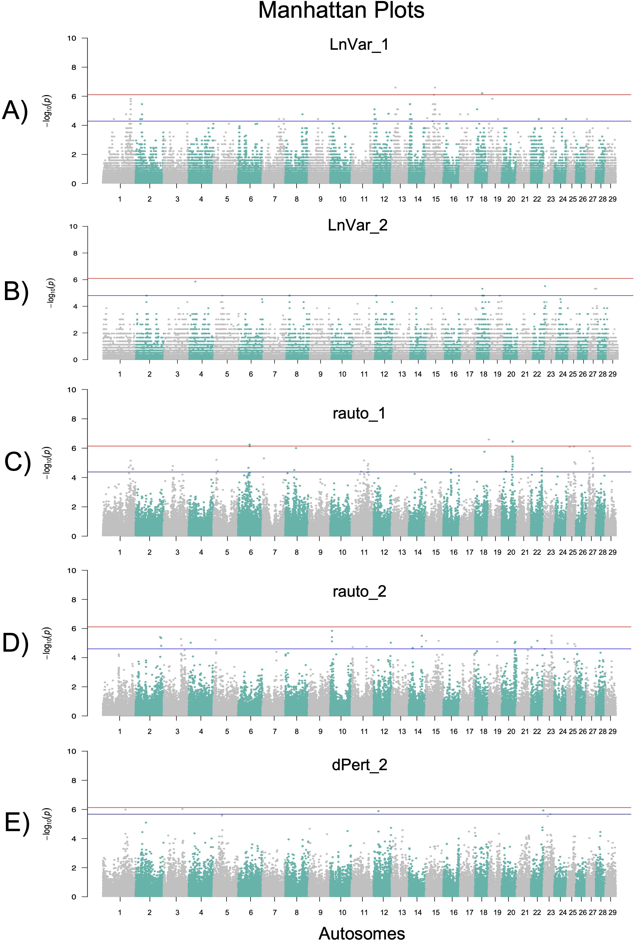 Five Manhattan plots labeled A to E, each showing negative log-transformed P-values (-log10(p)) on the y-axis, against autosome numbers 1 to 29 on the x-axis. The titles are LnVar_1, LnVar_2, rauto_1, rauto_2, and dPert_2. Each plot includes a red horizontal significance threshold line and a blue line, with data points in alternating colors across the autosomes.