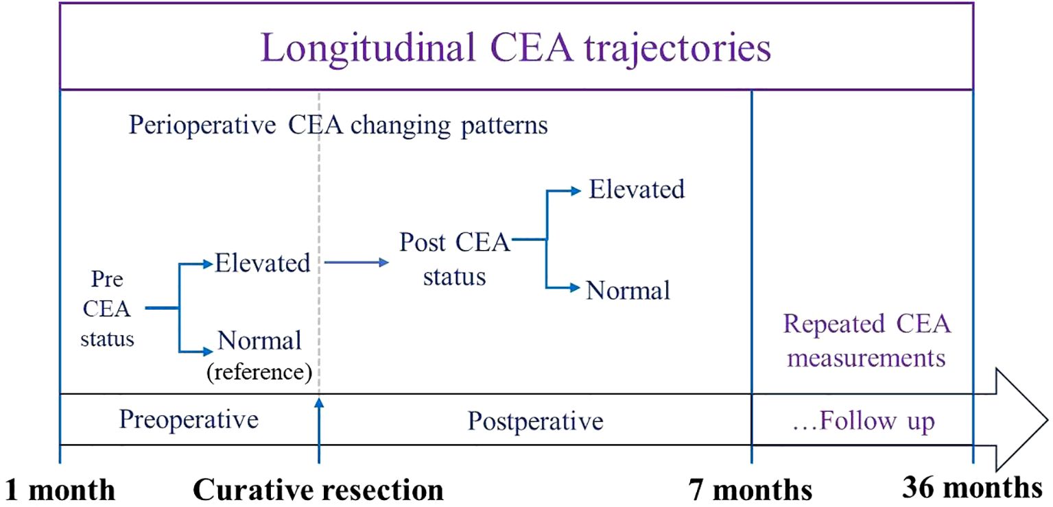 Flowchart titled “Longitudinal CEA Trajectories” depicting perioperative CEA status change patterns. It starts with preoperative CEA status, branching into elevated or normal (reference). Postoperative CEA status shows further divisions into elevated or normal. The timeline below indicates progression from 1 month (curative resection) through preoperative and postoperative periods, ending with repeated CEA measurements at 7 to 36 months follow-up.