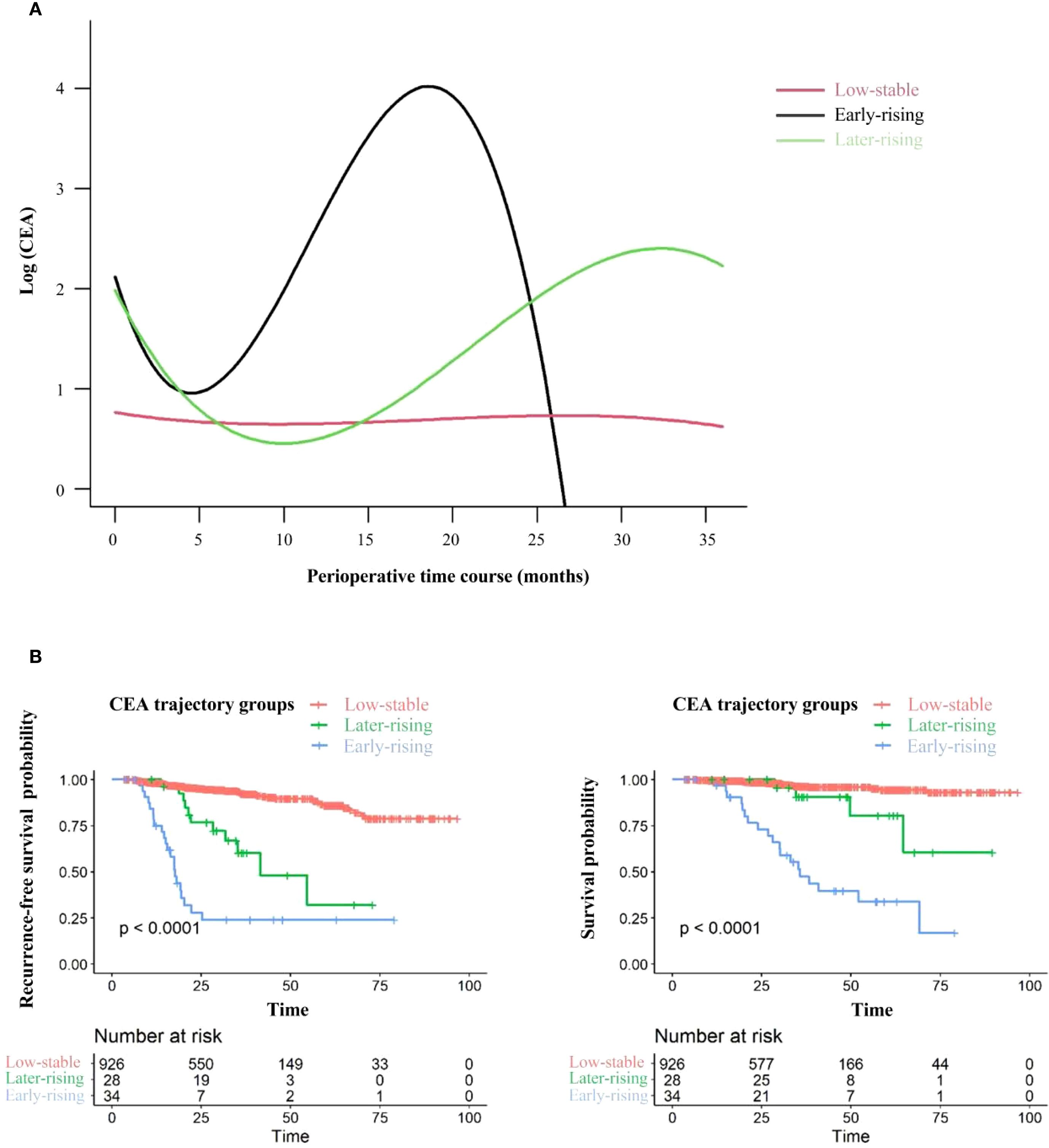 Graph A displays CEA levels over time in three trajectories: low-stable, early-rising, and later-rising. Graph B consists of two Kaplan-Meier plots showing recurrence-free survival probability and overall survival probability for each trajectory group. Both plots illustrate significant differences in survival probabilities among the groups, with numbers at risk indicated below each graph.