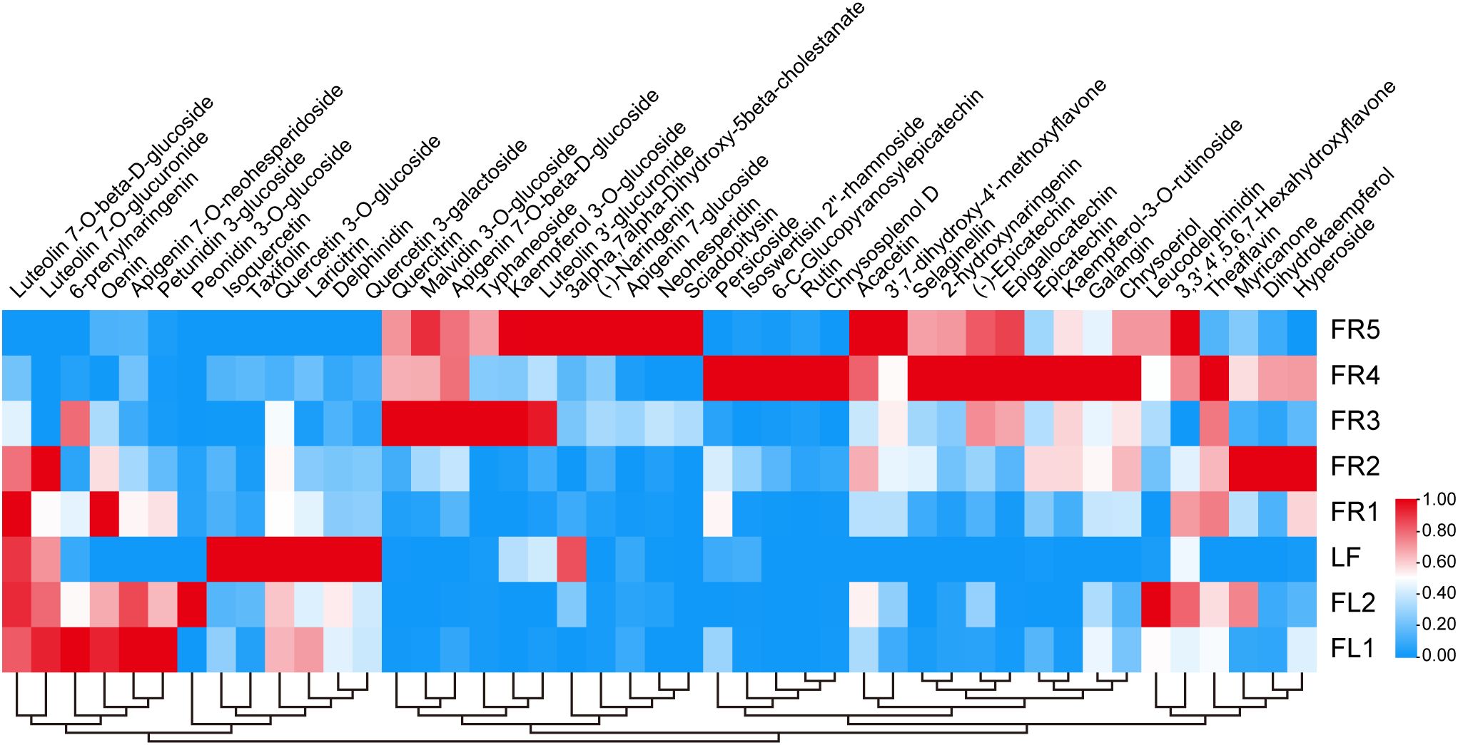 Heatmap showing the correlation between various compounds and samples labeled FR5, FR4, FR3, FR2, FR1, LF, FL2, and FL1. Compounds are listed on the top and include Luteolin-7-O-beta-D-glucoside, Apigenin, and others. Red indicates a high correlation, while blue indicates a low correlation. A color scale on the right shows correlation values from zero to one.