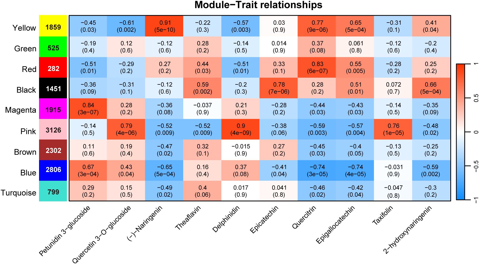 A heatmap titled “Module-Trait Relationships” showing correlations between modules and traits. Rows represent modules in colors like yellow, green, and red with associated numbers. Columns depict traits such as Petunidin 3-glucoside and Quercetin 3-O-glucoside. Colored cells with correlation coefficients and p-values indicate the strength and significance, using a color scale from blue (negative) to red (positive).