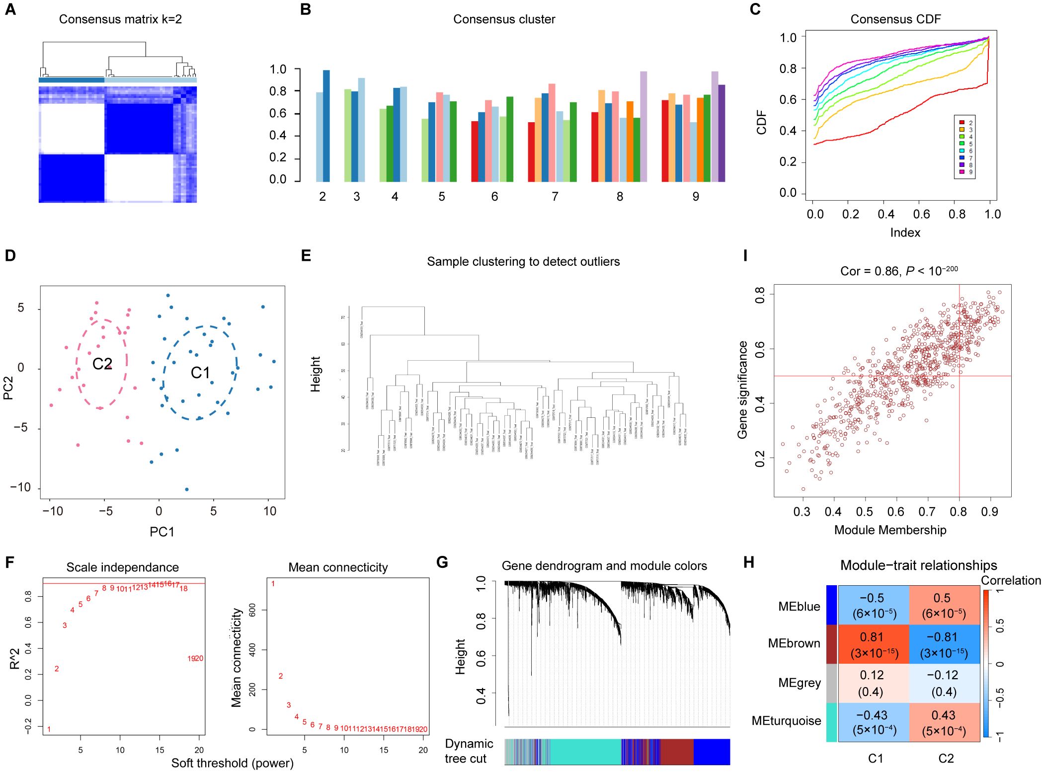 Figure featuring multiple data visualizations related to consensus clustering analysis: (A) A heatmap displaying the consensus matrix for k equals two, showing cluster differentiation. (B) Bar graph depicting consensus clustering across multiple values. (C) Consensus CDF plot with colored lines for different clusters. (D) PCA scatter plot with two clusters, C1 and C2, differentiated by color. (E) Dendrogram for sample clustering to identify outliers. (F) Two plots showing scale independence vs. mean connectivity against soft threshold power. (G) Gene dendrogram with colored modules. (H) Heatmap of module-trait relationships for C1 and C2. (I) Scatter plot showing correlation between gene significance and module membership with a high correlation value.