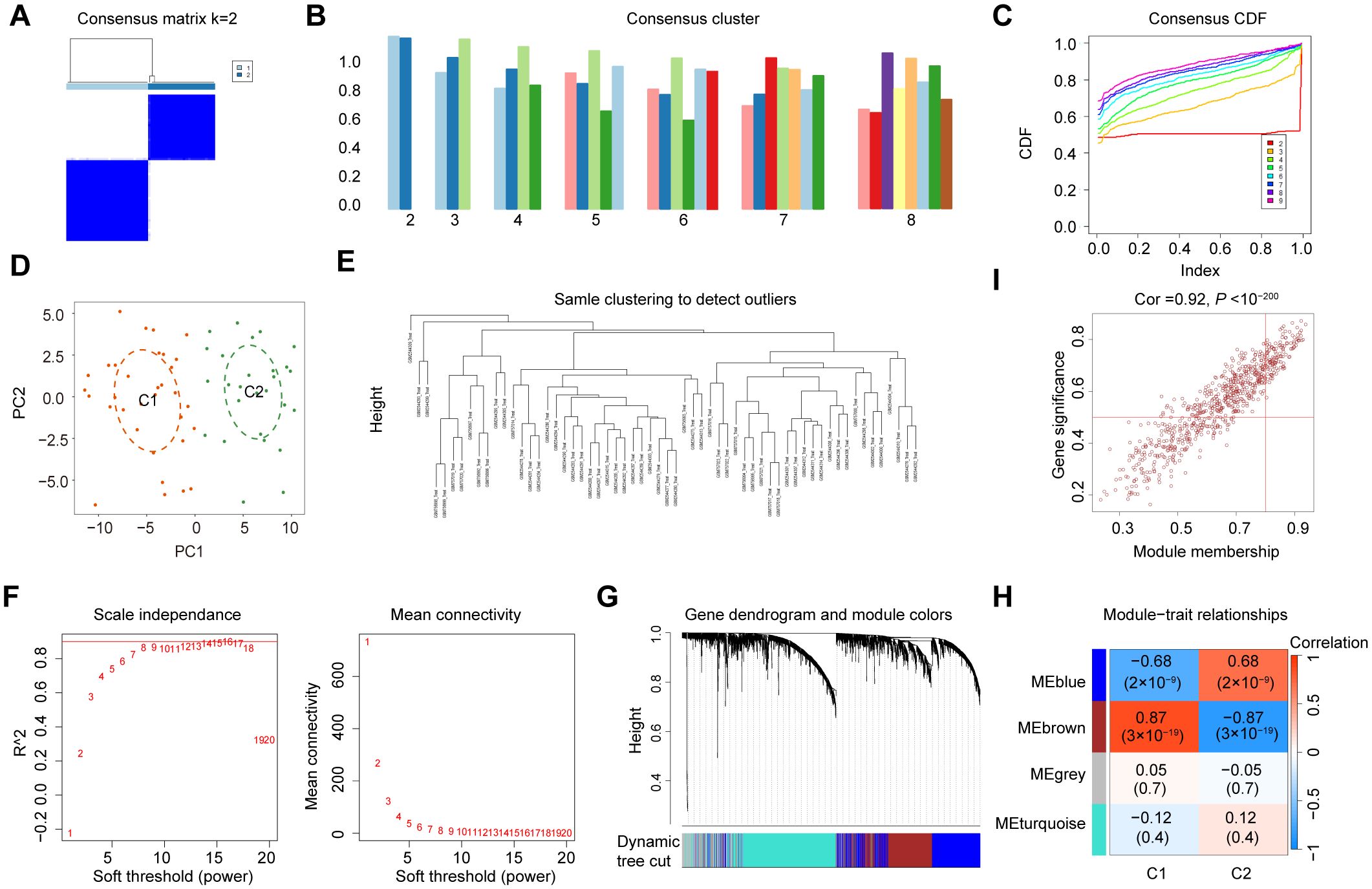 Panel A shows a heatmap of a consensus matrix with clustering for k=2. Panel B displays bar graphs of consensus cluster frequencies for different cluster numbers. Panel C features a graph of Consensus Cumulative Distribution Functions (CDF) for indexes 2 to 9. Panel D shows a scatterplot of Principal Component Analysis (PCA) with ellipses around two clusters, labeled C1 and C2. Panel E is a hierarchical clustering dendrogram for outlier detection. Panel F contains plots showing scale independence and mean connectivity based on soft threshold power. Panel G presents a gene dendrogram with color-coded modules. Panel H displays a heatmap of module-trait relationships. Panel I shows a scatterplot with gene significance versus module membership, exhibiting high correlation.