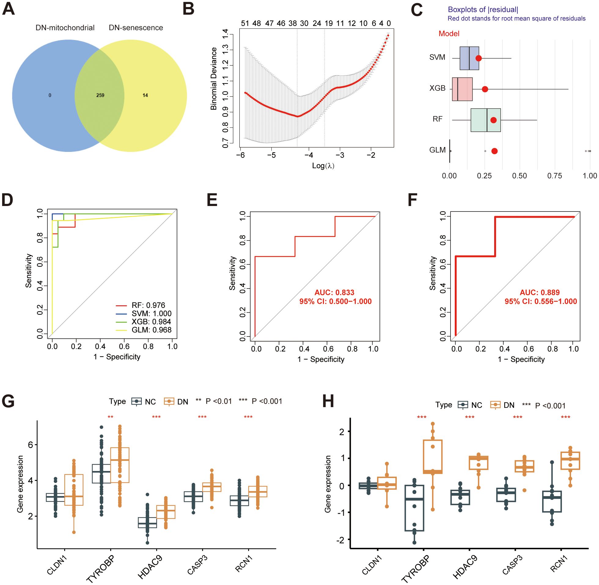 A collection of graphs and charts related to data analysis. A) Venn diagram showing overlap between DN-mitochondrial and DN-senescence with 259 in common. B) Plot displaying binomial deviance against Log(lambda). C) Box plots for residuals by model type, with outliers highlighted. D) ROC curve with different models compared, showing RF, SVM, XGB, and GLM performance. E) and F) Separate ROC curves with AUC values and confidence intervals. G) and H) Box plots of gene expression for different genes, comparing NC and DN types.