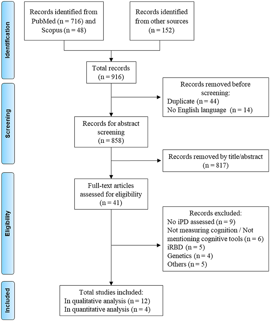 Flowchart depicting a systematic review process. Identification phase: 716 records from PubMed, 48 from Scopus, and 152 from other sources, totaling 916. Screening phase: 58 records removed (duplicates and non-English), leaving 858. From these, 817 removed by title or abstract. Eligibility phase: 41 full-text articles assessed; 29 excluded for various reasons. Included studies: 12 in qualitative analysis and 4 in quantitative analysis.