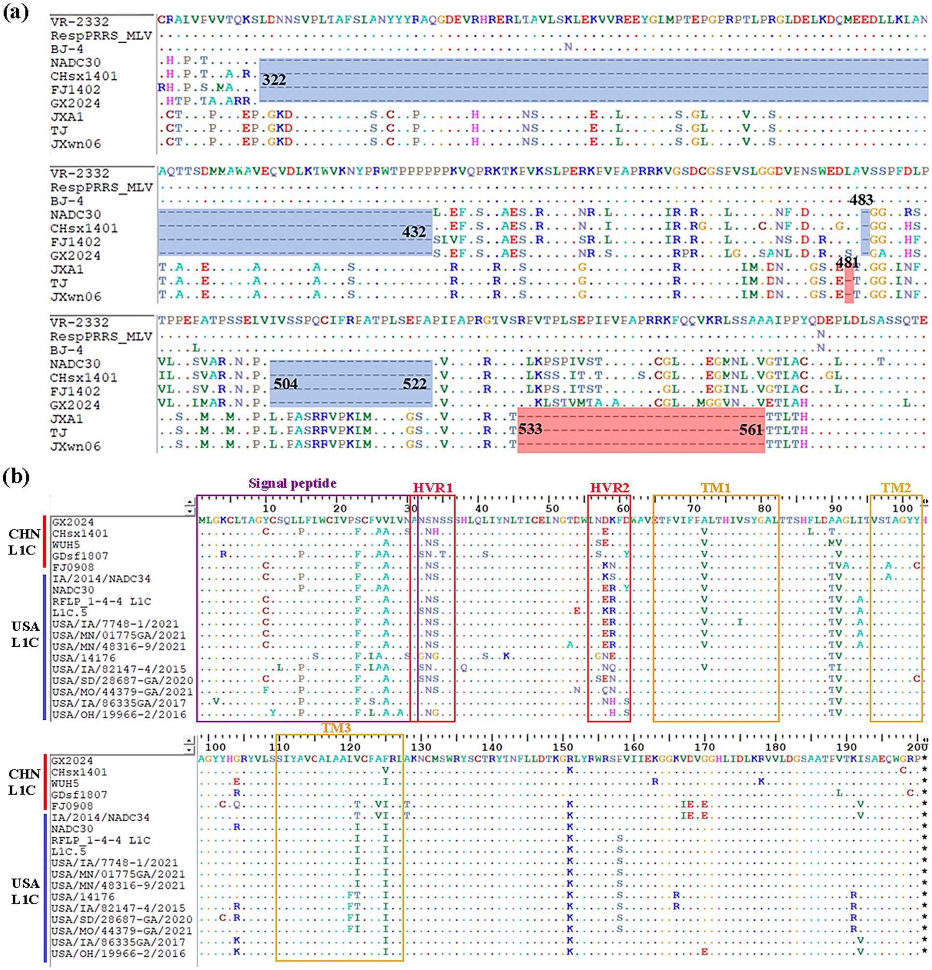 Multiple sequence alignment diagrams labeled (a) and (b). Diagram (a) includes sections from VR-2332 to JXm06, highlighting amino acid variations and numbered boxes at positions 322, 432, 504, 522, and a highlighted red section between 533 and 561. Diagram (b) shows sequences from CHN and USA categories highlighting regions: Signal peptide, HVR1, HVR2, TM1, TM2, and TM3 with colored boxes. Rows show various strains' sequences, indicating differences with dots and letters.
