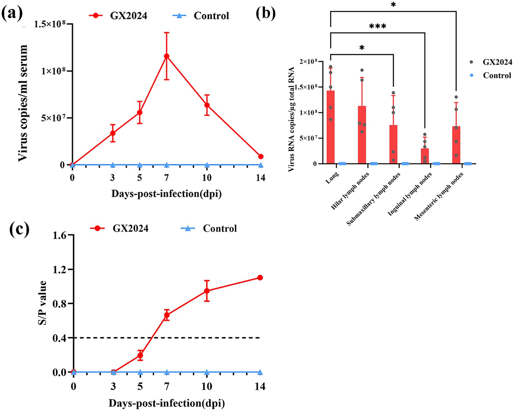 (a) Line graph showing virus copies per milliliter in serum from days zero to fourteen post-infection. GX2024 peaks at day seven; control remains near zero. (b) Bar chart of virus RNA copies in various tissues. GX2024 has higher levels, with statistical significance noted. (c) Line graph of S/P values over time, showing an increase in GX2024, while the control stays constant.
