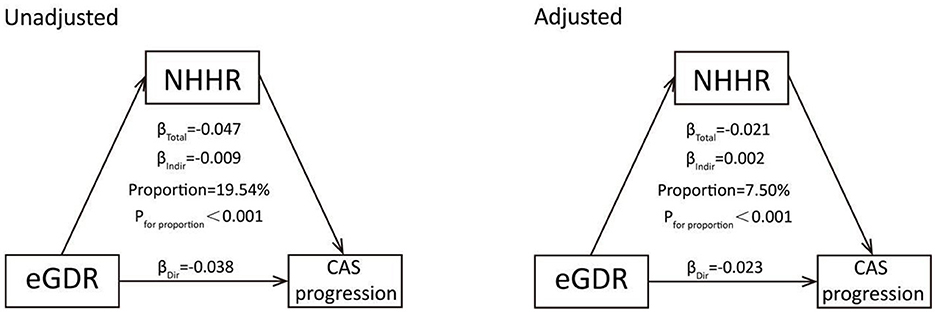 Two diagrams titled “Unadjusted” and “Adjusted” compare pathways between NHHR, eGDR, and CAS progression. Both show direct and indirect effects with beta values. Unadjusted diagram: β_total = -0.047, β_ind = 0.009, β_dir = -0.038, proportion = 19.54%, p < 0.001. Adjusted diagram: β_total = -0.021, β_ind = 0.002, β_dir = -0.023, proportion = 7.50%, p < 0.001. Arrows indicate direction of influence.