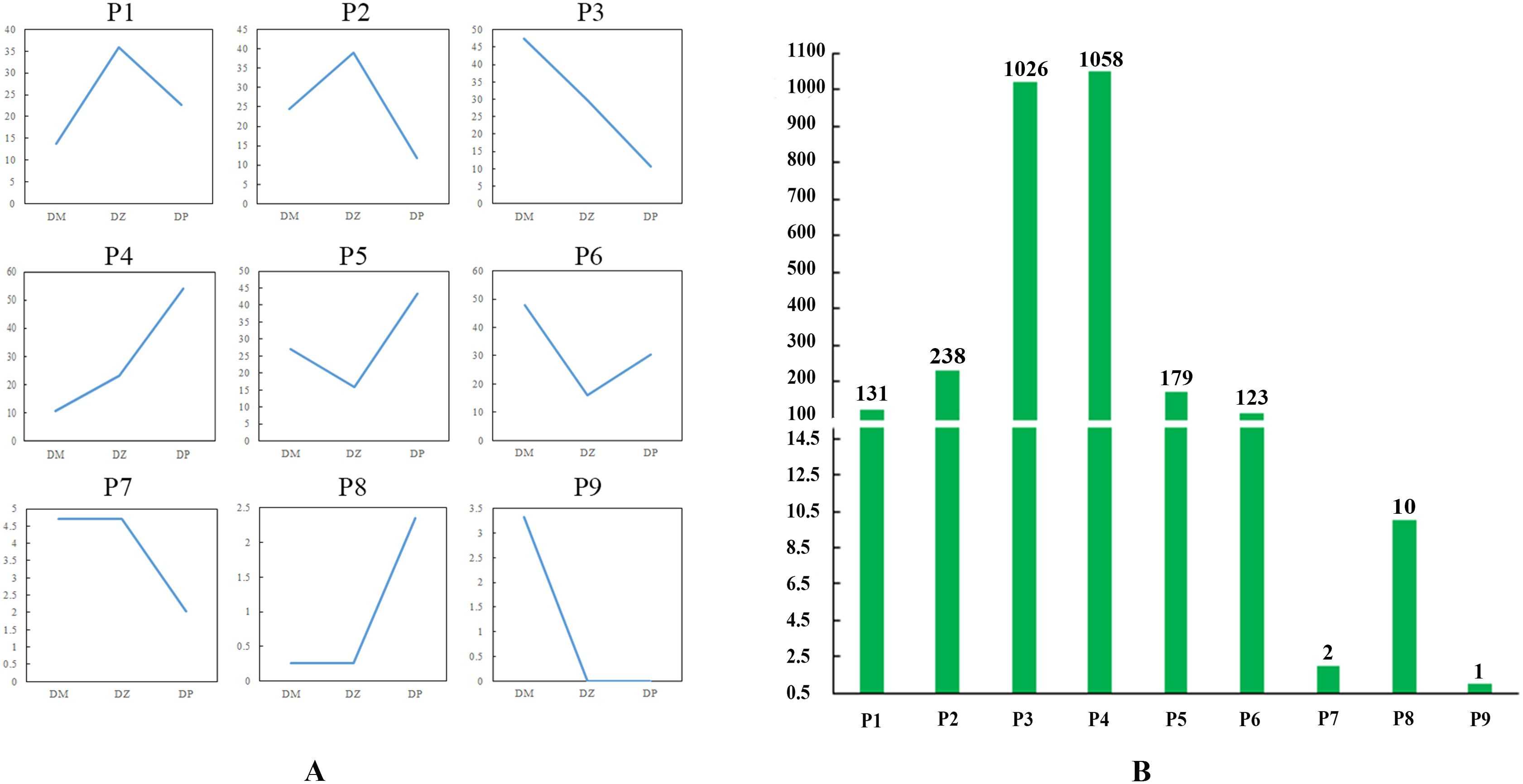 Nine line graphs labeled P1 to P9 show different trends across three points: DM, DZ, DP. Graphs exhibit various increasing, decreasing, and V-shaped patterns. Adjacent is a bar chart with green bars representing numerical values for P1 to P9. Values range from 1 to 1068, with P2 and P3 having the highest, marked at 1026 and 1058.