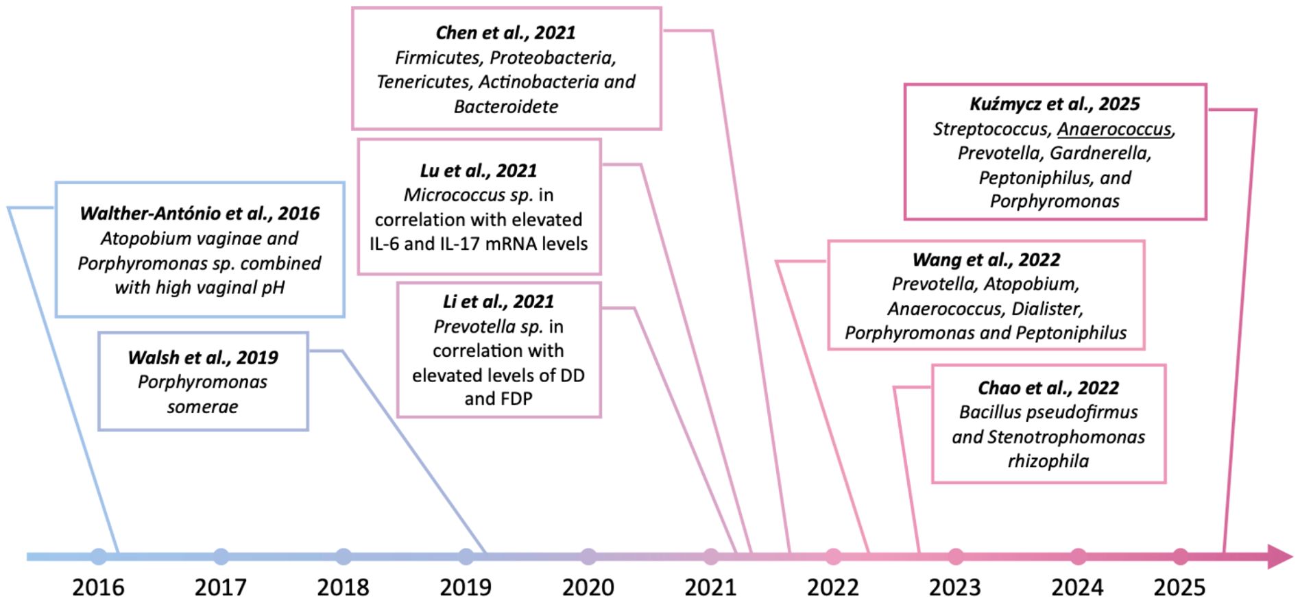 Timeline graphic displaying research findings from 2016 to 2025. It includes key studies: Walther-António et al., 2016, on Atopobium vaginae and Porphyromonas with high pH; Walsh et al., 2019, on Porphyromonas somerae; and Chen et al., 2021, on various bacteria. Other studies include Lu et al., Li et al., Wang et al., Chao et al., and Kuzmycz et al., highlighting correlations with specific bacterial species and health conditions up to 2025.