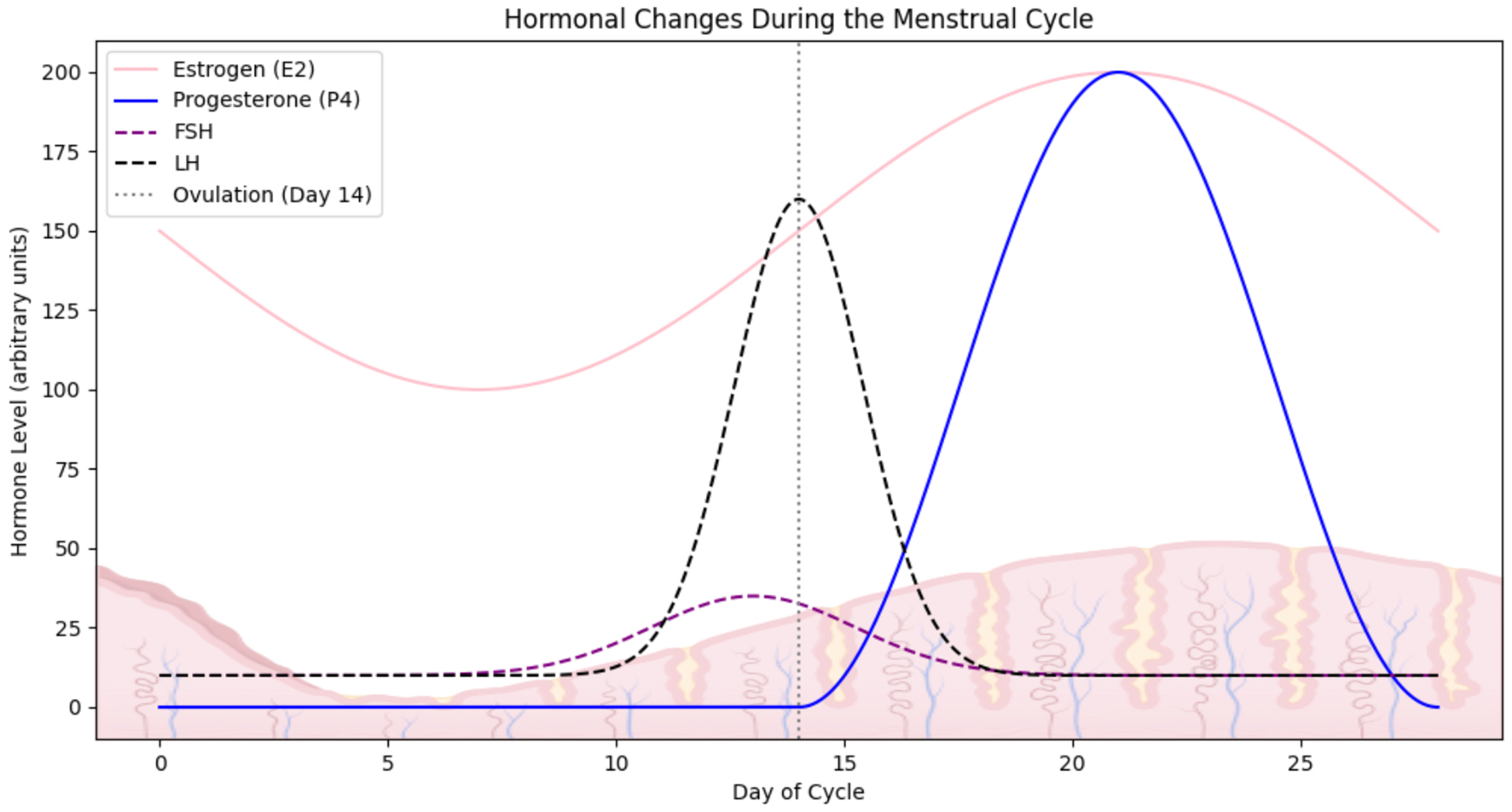 Line graph showing hormonal changes during the menstrual cycle. Estrogen decreases until day 14, then rises. Progesterone peaks around day 21. LH spikes sharply at day 14. FSH shows a small peak around day 14. Ovulation occurs on day 14.