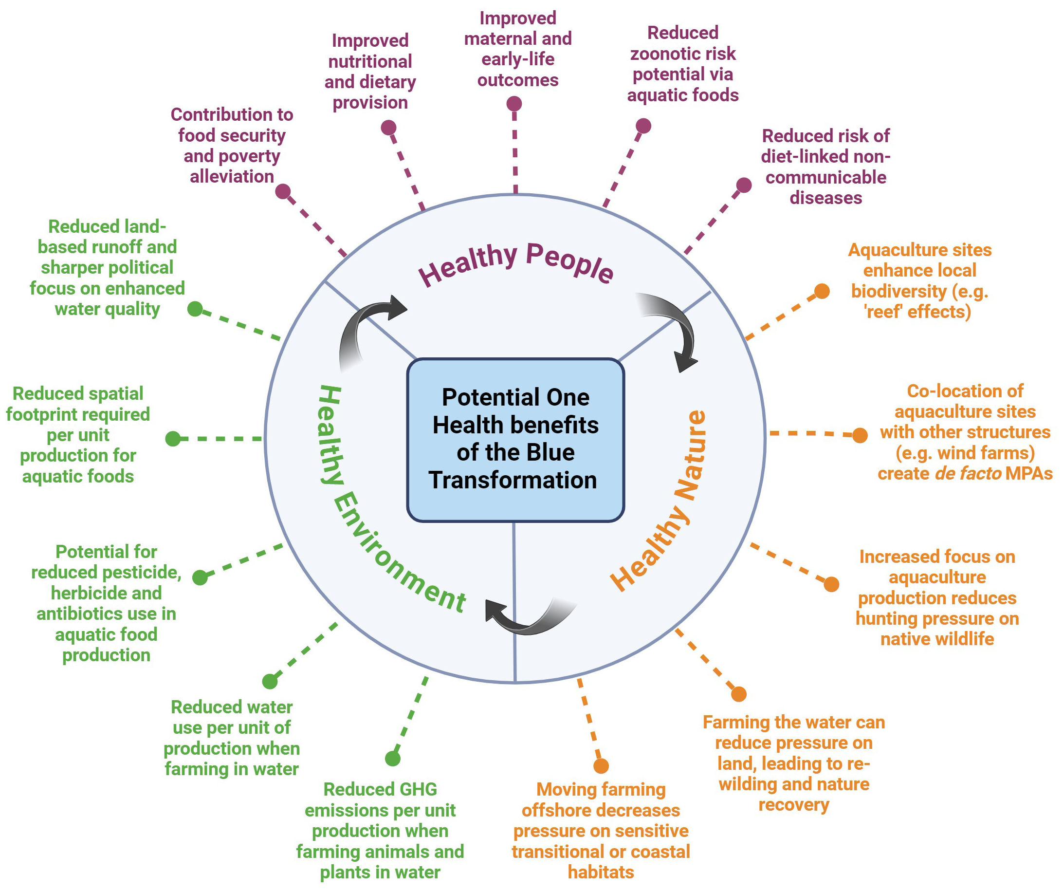 Diagram illustrating the potential One Health benefits of the Blue Transformation, highlighting three key areas: Healthy People, Healthy Environment, and Healthy Nature. Each area is surrounded by benefits. Healthy People: improved nutrition, food security. maternal outcomes, reduced disease risk. Healthy Environment: chemical and antibiotic use, greenhouse gas emissions, /reduced runoff, spatial footprint, chemical use, and water use. Healthy Nature: enhanced biodiversity, colocation with other sites, reduced hunting pressure, and nature recovery. Arrows indicateinterconnectedness among these areas.