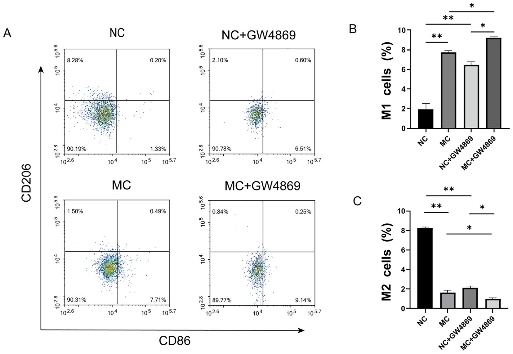 Flow cytometry plots and bar graphs showing the percentages of M1 and M2 cells. Panel A has scatter plots of CD206 versus CD86 for four groups: NC, NC plus GW4869, MC, and MC plus GW4869. Panel B shows a bar graph comparing the percentage of M1 cells, with MC plus GW4869 showing the highest levels. Panel C shows a bar graph comparing the percentage of M2 cells, with NC showing the highest levels. Significant differences between groups are indicated with asterisks.