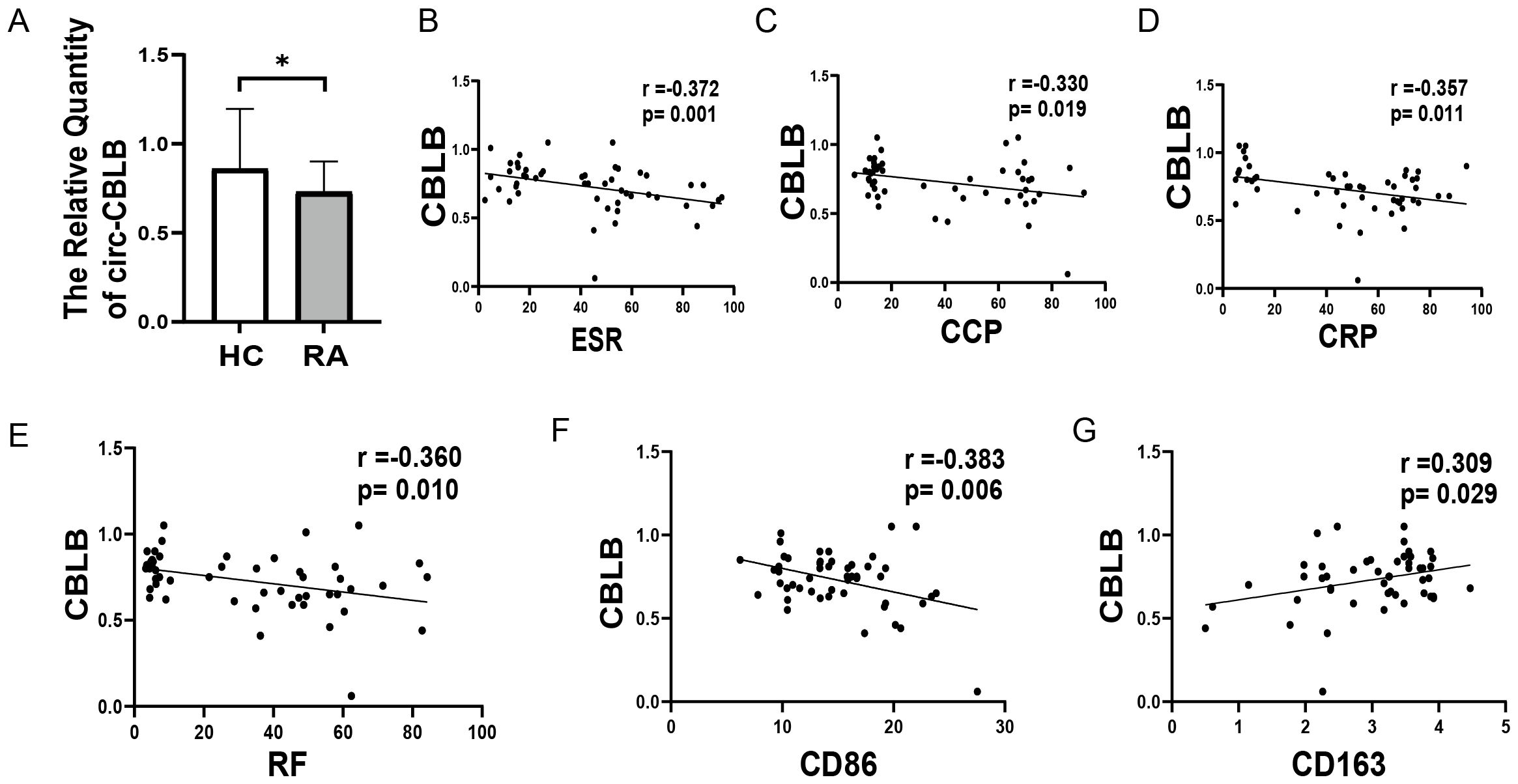 Bar and scatter plots display the relative quantity of circ-CBLB in healthy controls (HC) versus rheumatoid arthritis (RA) patients. Panel A shows a significant decrease in circ-CBLB in RA. Panels B to G depict correlations of CBLB with ESR, CCP, CRP, RF, CD86, and CD163. Negative correlations are observed for ESR (r=-0.372, p=0.001), CCP (r=-0.330, p=0.019), CRP (r=-0.357, p=0.011), RF (r=-0.360, p=0.010), and CD86 (r=-0.383, p=0.006), while a positive correlation is seen with CD163 (r=0.309, p=0.029).