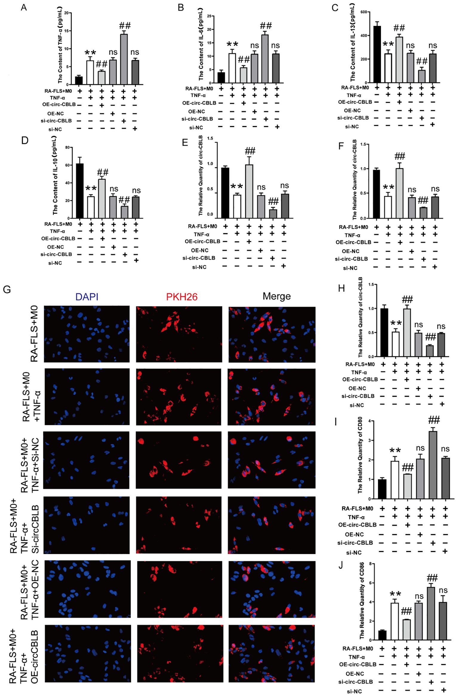Graphs show data on the impact of different treatments on cytokine content and gene expression in RA-FLS + M0 cells, including TNF-alpha, IL-6, IL-1 beta, and IL-10 levels. Bar charts A-F and H-J display variations in content and quantity under different conditions, with significant differences marked by asterisks and hashtags. Panel G presents a series of microscopy images with staining, showing cellular labeling with DAPI and PKH26, under various treatment conditions.
