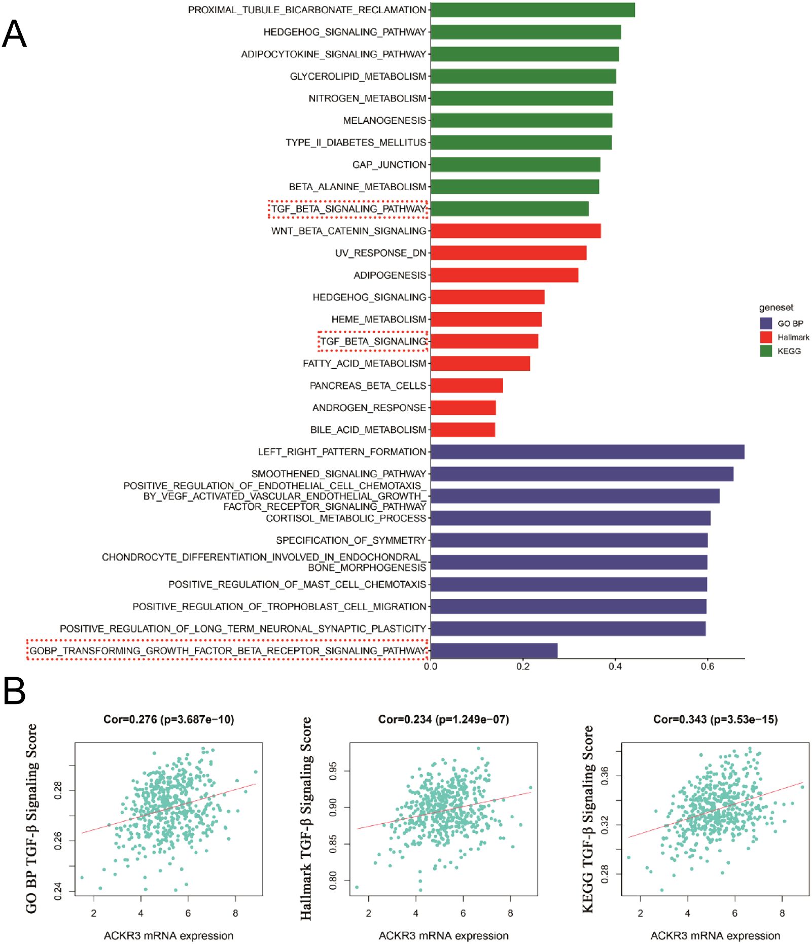 Bar graph and three scatter plots. The bar graph (A) shows different pathways colored by gene sets: green for GO BP, red for Hallmark, and purple for KEGG. Certain pathways like “TGF_BETA_SIGNALING_PATHWAY” are highlighted. Scatter plots (B) display correlations between ACKR3 mRNA expression and TGF-β signaling scores across three gene sets, yielding correlation coefficients of 0.276, 0.234, and 0.343.