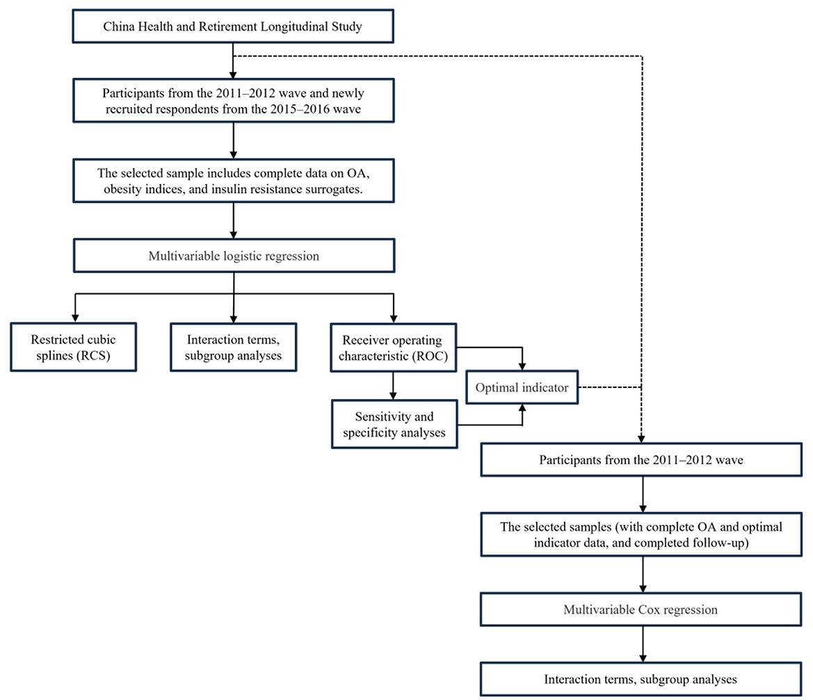 Flowchart detailing the study process from the China Health and Retirement Longitudinal Study. It begins with participants from two waves, selecting samples with complete data on osteoarthritis, obesity indices, and insulin resistance. Multivariable logistic regression is conducted, branching into restricted cubic splines, interaction terms, and receiver operating characteristic analyses. An optimal indicator is identified, leading to sensitivity and specificity analyses. Finally, participants undergo further multivariable Cox regression and interaction terms analysis with completed follow-up.