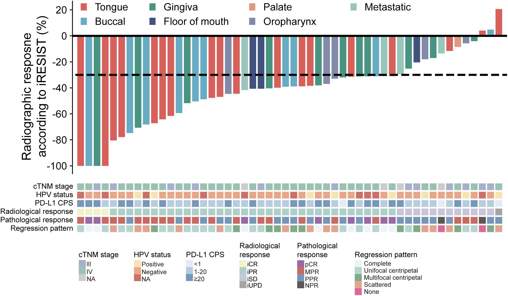Bar chart showing radiographic response according to iRESIST criteria for different oral regions: tongue, gingiva, buccal, floor of mouth, palate, oropharynx, and metastatic. Colors represent sites. Below, a matrix shows attributes for cTNM stage, HPV status, PD-L1 CPS, radiological response, pathological response, and regression pattern, each coded with colors. A key explains the color codes for stages, statuses, responses, and patterns.