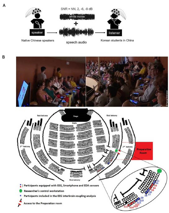 Panel A shows a laboratory setting with two individuals wearing EEG caps, monitored by a technician. Panel B is a schematic depicting a communication setup with a native Chinese speaker and a Korean student in China, illustrating speech audio overlapping with white noise. Panel C displays an audience in a theater setting, many with devices, and a seating chart indicating participant placement for an EEG study, with labeled sensors and control stations.