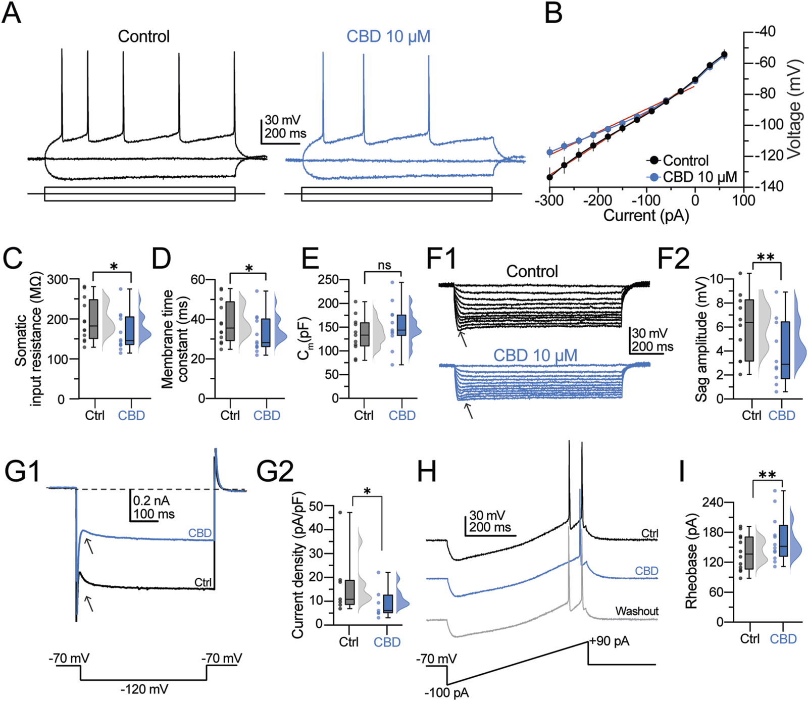 Electrophysiological effects of cannabidiol (CBD) on neurons. Panel A shows voltage recordings with and without 10 micromolar CBD. Panel B presents a current-voltage relationship graph. Panels C, D, and E display box plots for somatic input resistance, membrane time constant, and membrane capacitance, respectively, comparing control with CBD-treated samples. Panels F1 and F2 show voltage sag responses and their amplitudes. Panels G1 and G2 depict current density responses. Panel H illustrates voltage traces with and without CBD and its washout effect. Panel I highlights rheobase differences. Significant differences are marked with asterisks.
