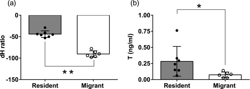 Two bar graphs comparing data for Resident and Migrant groups. (a) Shows dH ratio with Resident having higher values. (b) Displays testosterone levels (T) with Resident group having higher values. Significant differences are noted with asterisks.