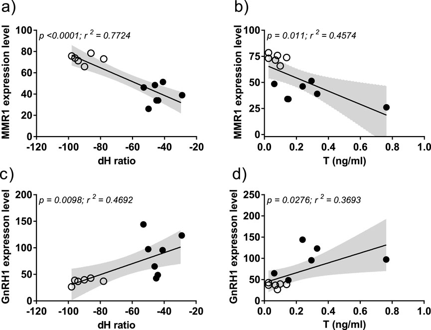 Four scatter plots show relationships between expression levels and ratios or concentrations. a) MMR1 expression versus dH ratio, significant negative correlation (p < 0.0001; r² = 0.7724). b) MMR1 expression versus T concentration, significant negative correlation (p = 0.011; r² = 0.4574). c) GnRH1 expression versus dH ratio, significant positive correlation (p = 0.0098; r² = 0.4692). d) GnRH1 expression versus T concentration, significant positive correlation (p = 0.0276; r² = 0.3693). Grayscale shading indicates confidence regions.