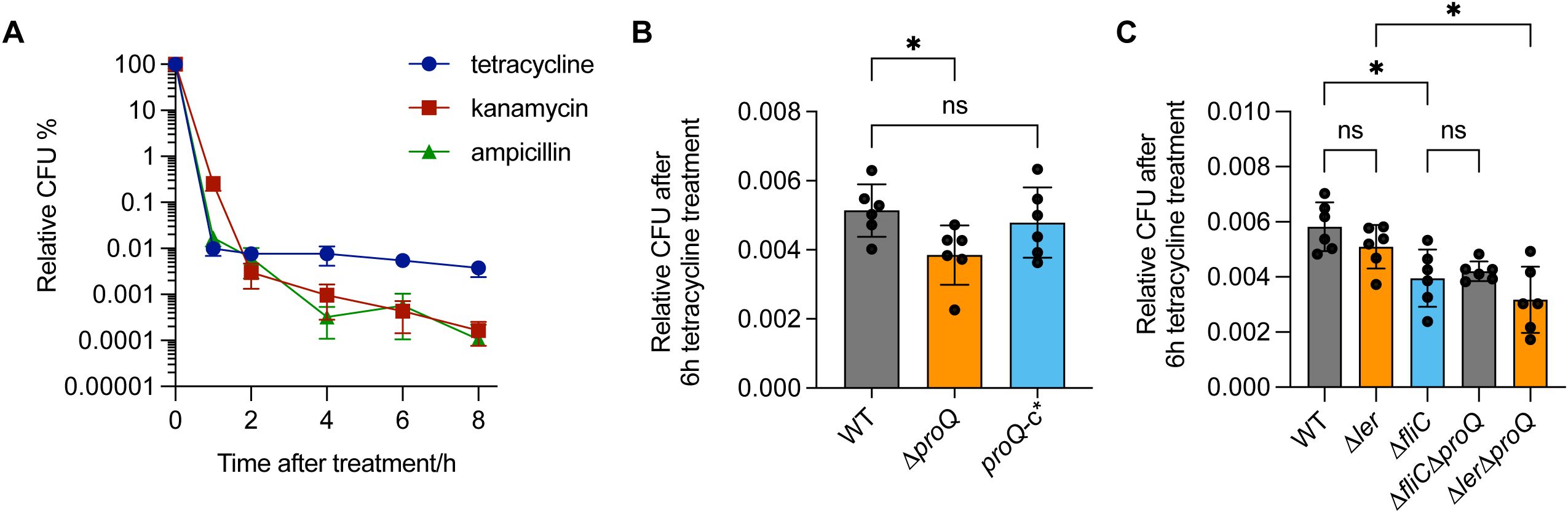 Graph illustrating the relative CFU percentages over time after treatment with tetracycline, kanamycin, and ampicillin. Panel A shows a decrease in CFU percentage for all antibiotics, with tetracycline having a slower decline. Panel B and C are bar charts comparing CFU levels after six hours of tetracycline treatment across different conditions, indicating statistically significant differences marked by asterisks and non-significant differences labeled as “ns”.