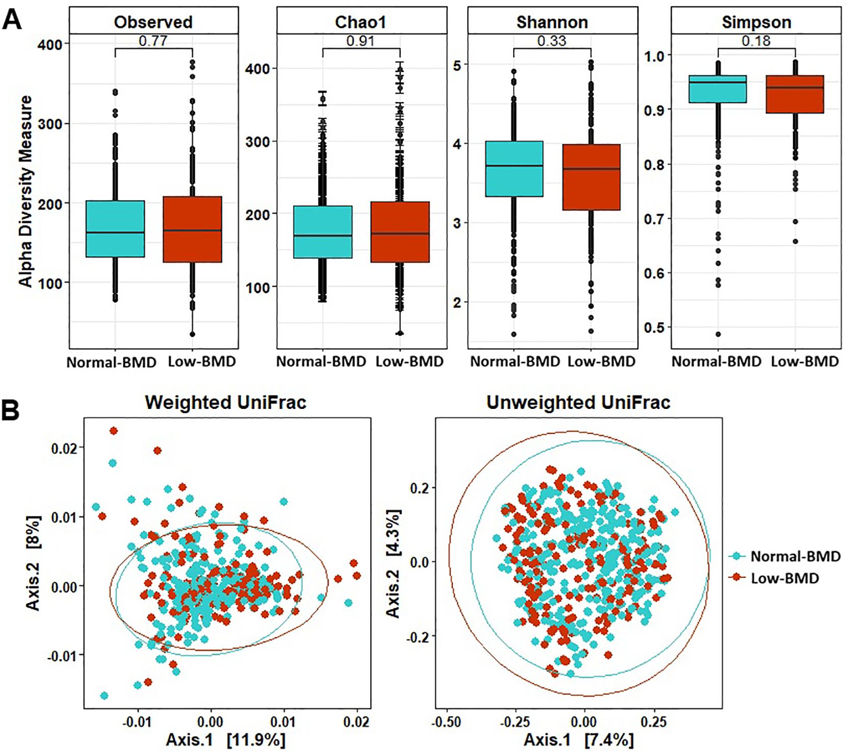 Graph A shows box plots for alpha diversity measures (Observed, Chao1, Shannon, Simpson) comparing Normal-BMD and Low-BMD groups, with p-values 0.77, 0.91, 0.33, and 0.18 respectively. Graph B shows scatter plots for Weighted and Unweighted UniFrac analyses, with Normal-BMD and Low-BMD groups represented by distinct colors, displaying clusters along two axes with respective percentages.