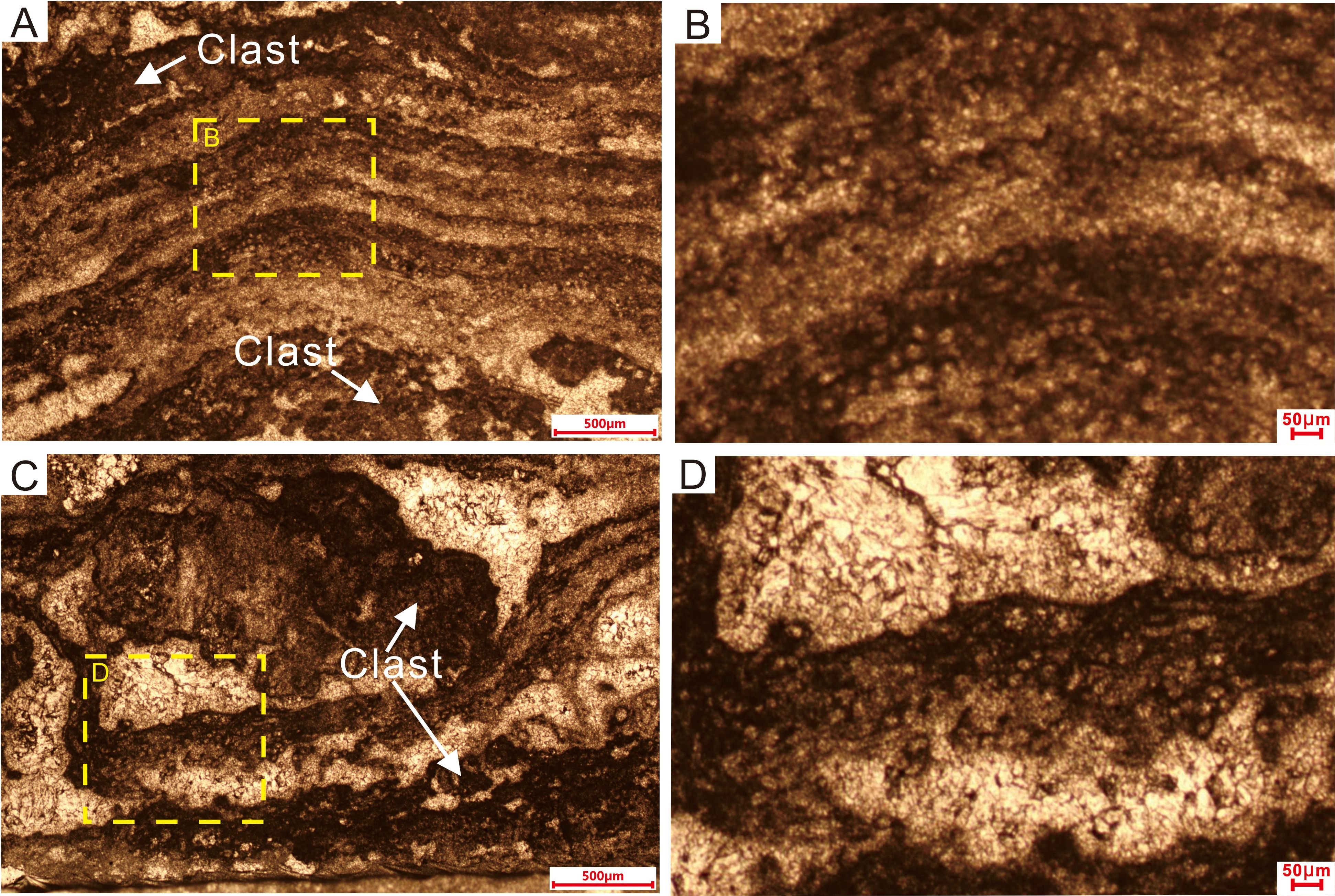 Four microscopic images labeled A, B, C, and D show show laminated microstructures in Sample. Images A and C highlight larger sections with clasts marked by arrows. B and D are close-ups showing detailed textures within the yellow outlined areas from A and C, respectively. Scales of five hundred micrometers and fifty micrometers are shown in images A/C and B/D, respectively.