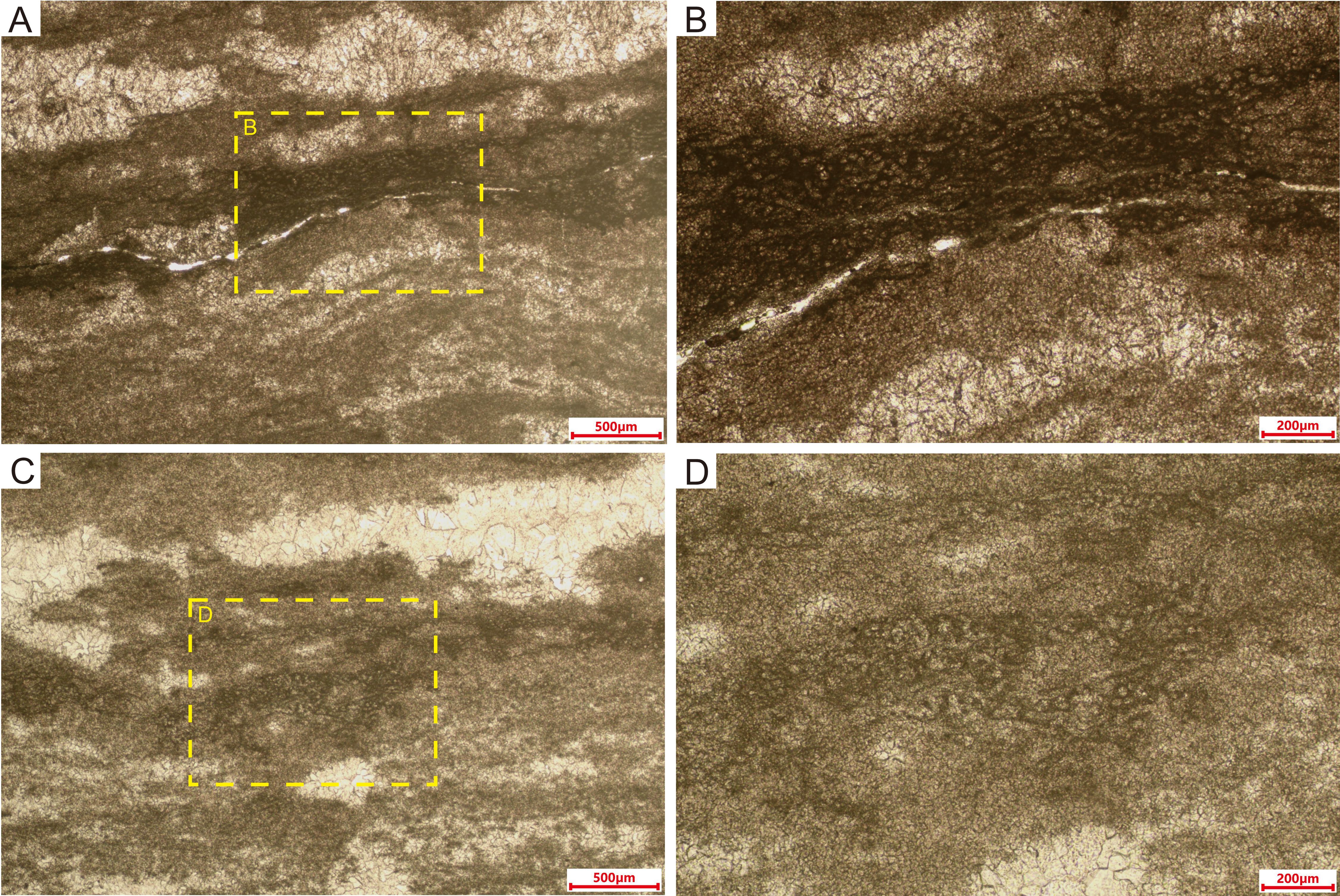Microscopic images labeled A to D depict textures of geological samples. Image A and C include dashed yellow rectangles for focused areas, with scale bars indicating magnification levels. The images highlight varied surfacepatterns and structures.