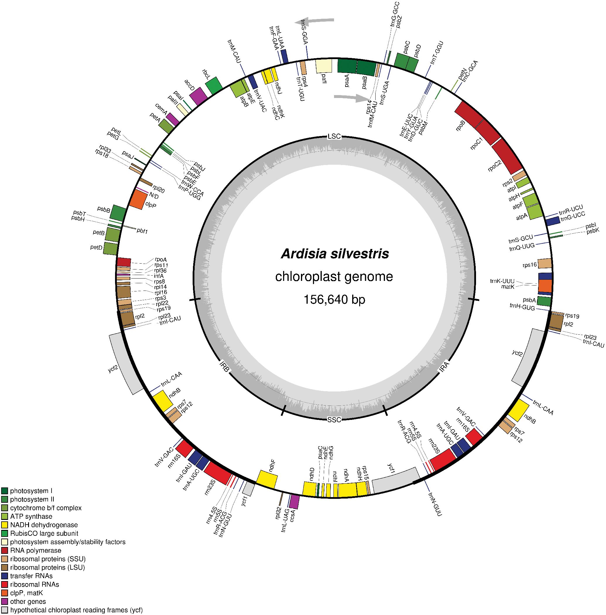 Circular map of the Ardisia silvestris chloroplast genome, totaling 156,640 base pairs. Different colored segments indicate genes and elements such as photosystem I and II, cytochrome b/f complex, ATP synthase, and ribosomal proteins, with a legend detailing each category.