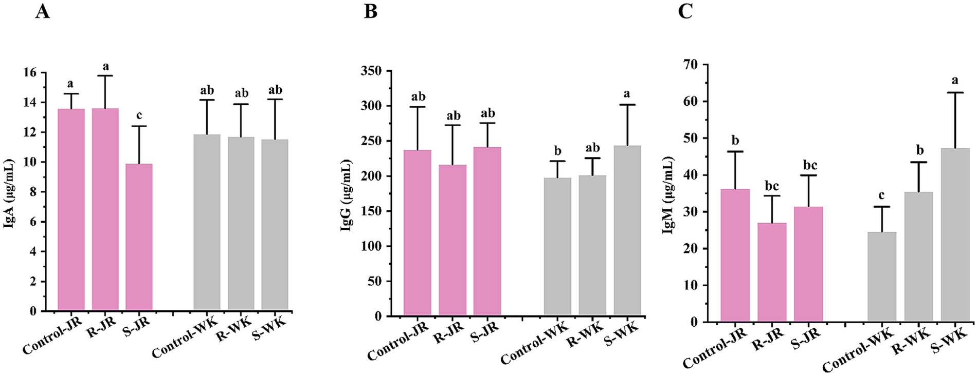 Bar graphs labeled A, B, and C display levels of IgA, IgG, and IgM, respectively, in micrograms per milliliter across control and experimental groups. Pink bars represent JR groups, and gray bars represent WK groups. Statistical significance is indicated by different letters above bars.