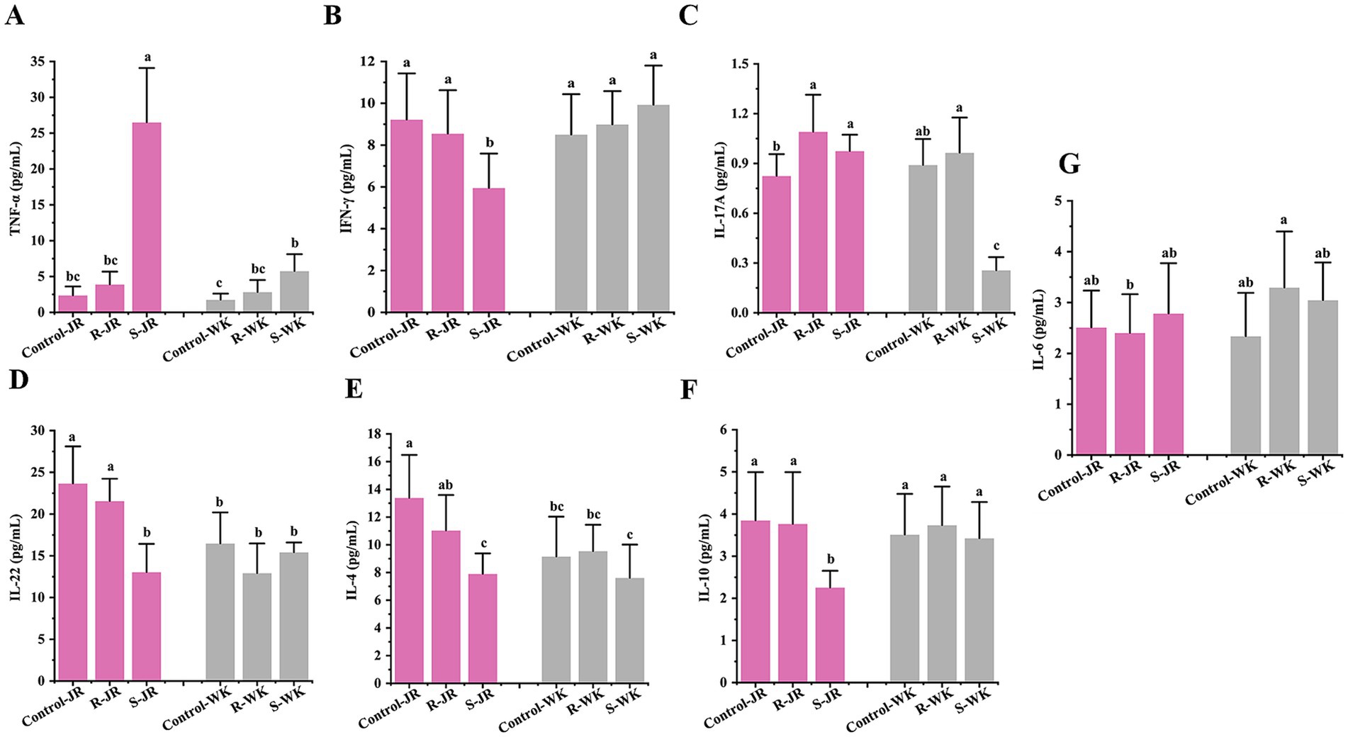 Bar graphs labeled A to G show cytokine levels in different groups: Control-JR, R-JR, S-JR in pink and Control-WK, R-WK, S-WK in gray. Each graph represents a specific cytokine: A - TNF-α, B - IFN-γ, C - IL-17A, D - IL-22, E - IL-4, F - IL-10, G - IL-6, with statistical annotations indicating significant differences among groups.