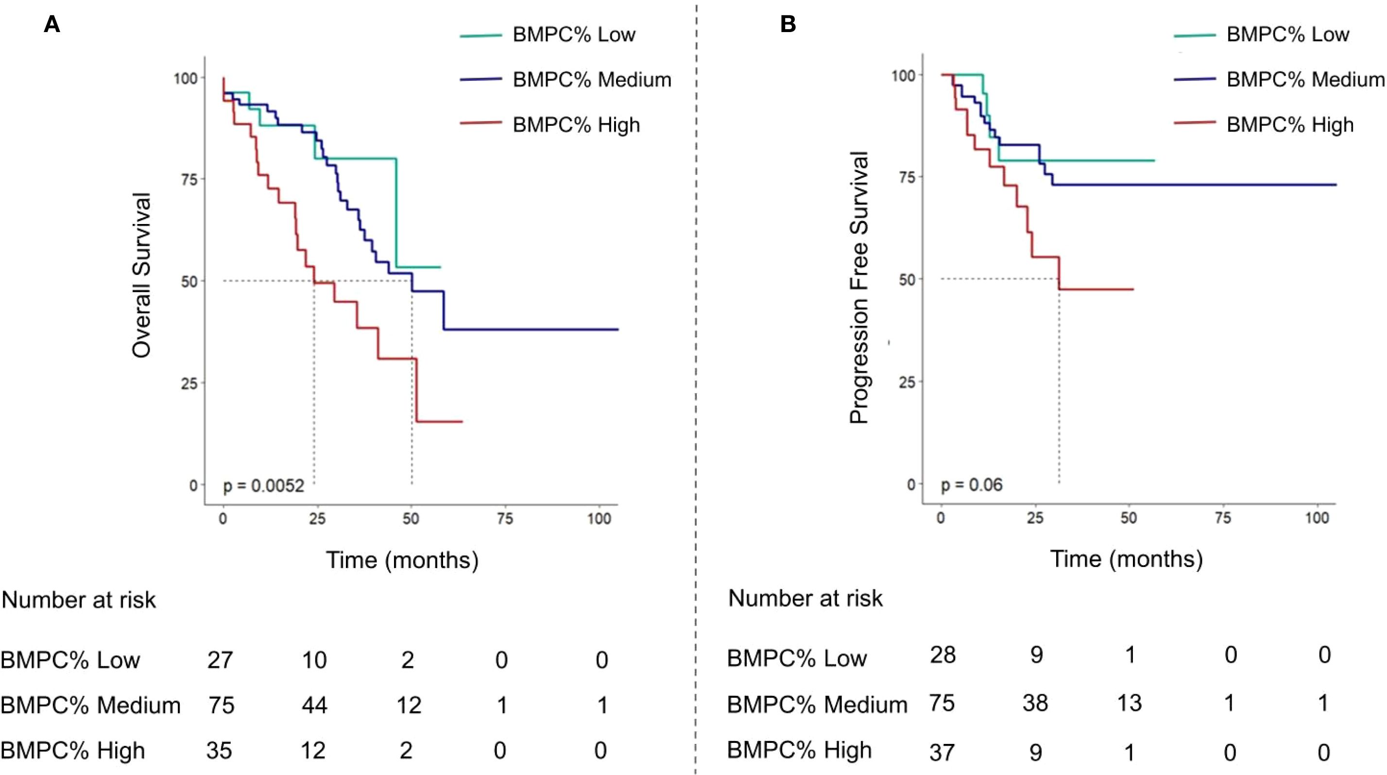Two Kaplan-Meier survival curves showing overall and progression-free survival. Graph A depicts overall survival, with significant differences among low, medium, and high BMPC% groups (p = 0.0052). Graph B shows progression-free survival with a p-value of 0.06. Both graphs compare survival rates over time, measured in months, with corresponding numbers at risk below. Low, medium, and high BMPC% are represented in green, blue, and red, respectively.