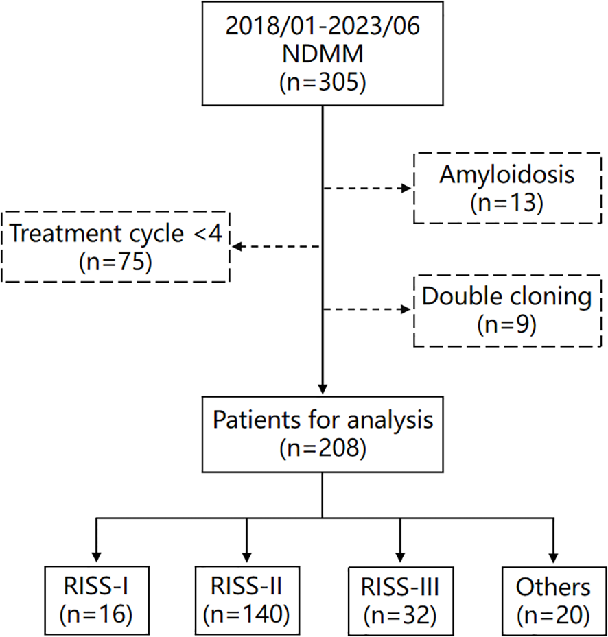 Flowchart detailing patient categorization for NDMM from 2018 to 2023. From 305 initial patients, 75 were excluded for treatment cycles less than four, 13 for amyloidosis, and 9 for double cloning, leaving 208 for analysis. These were divided into RISS-I (16 patients), RISS-II (140), RISS-III (32), and Others (20).