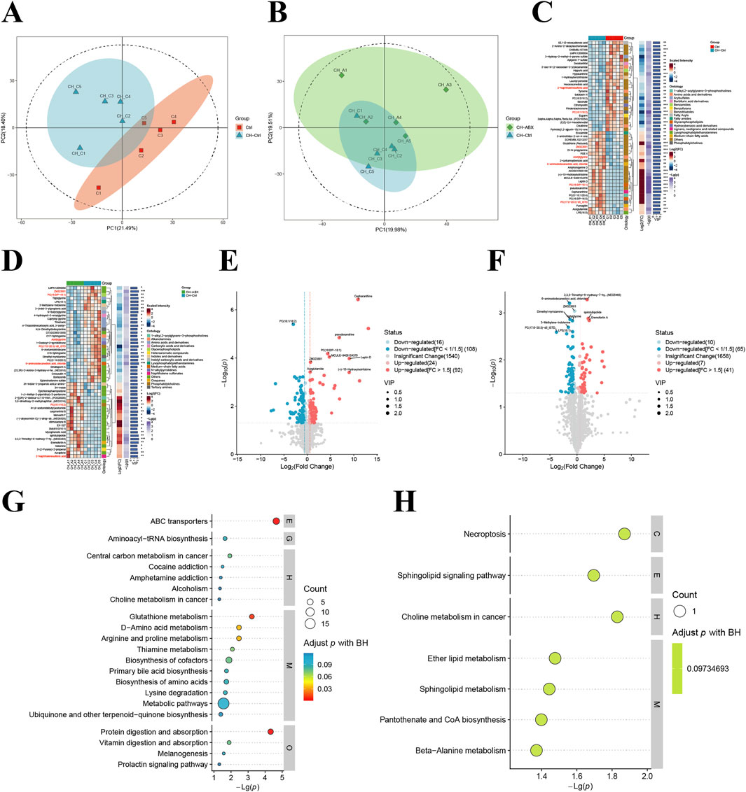 The image consists of multiple panels labeled A to H, showing various graphs and charts. Panels A and B display PCA score plots with different colored clusters. Panels C and D contain heatmaps of data characteristics. Panels E and F present volcano plots with scattered data points, indicating upregulated and downregulated items. Panels G and H show bubble charts representing pathway analysis with different counts and p-values. Each panel conveys specific data visualization related to a scientific study.