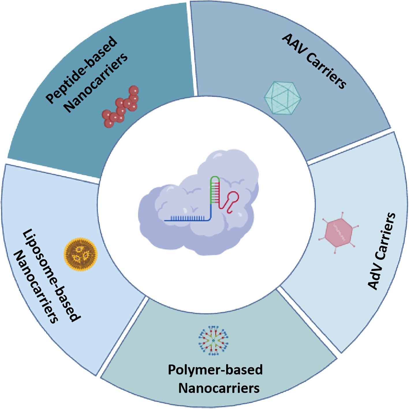 Circular diagram depicting five types of nanocarriers surrounding a central cloud-like shape with genetic material symbols. Segments: Peptide-based, AAV, AdV, Polymer-based, and Liposome-based nanocarriers, each with representative icons.