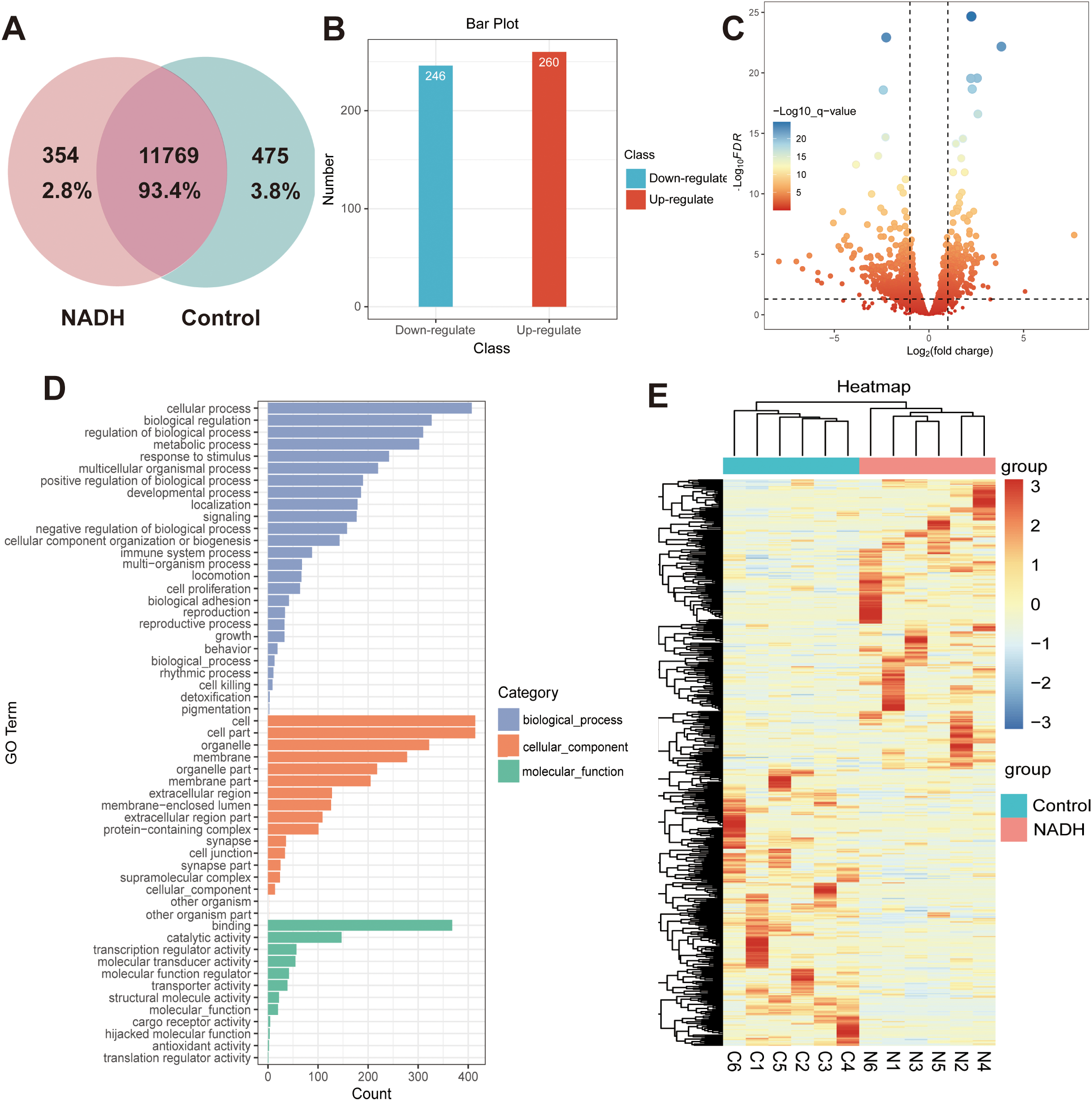 Venn diagram (A) shows overlap between NADH and Control groups with percentages. Bar plot (B) displays counts of down-regulated and up-regulated classes. Volcano plot (C) illustrates gene expression changes with fold change and significance. Gene Ontology (GO) analysis (D) depicts count distribution across biological processes, cellular components, and molecular functions. Heatmap (E) visualizes hierarchical clustering of expression data for NADH and Control groups.