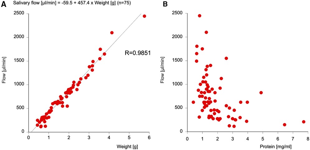 Scatterplots labeled A and B depict different analyses of salivary flow rate. Chart A shows a strong positive correlation between salivary flow and weight, with a line of best fit and R-value of 0.9851. Chart B displays no clear correlation between salivary flow and protein concentration. Red dots represent data points in both charts.