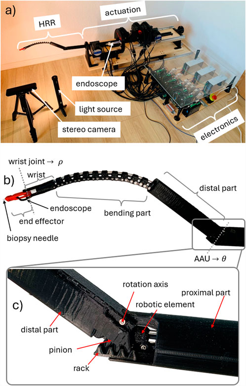 Panel a shows a robotic system setup with labeled components: HRR, actuation, endoscope, light source, stereo camera, and electronics. Panel b details the endoscope with labels for the wrist joint, end effector, biopsy needle, and bending and distal parts. Panel c is a close-up of the distal part, showing the pinion, rack, rotation axis, robotic element, and proximal part.