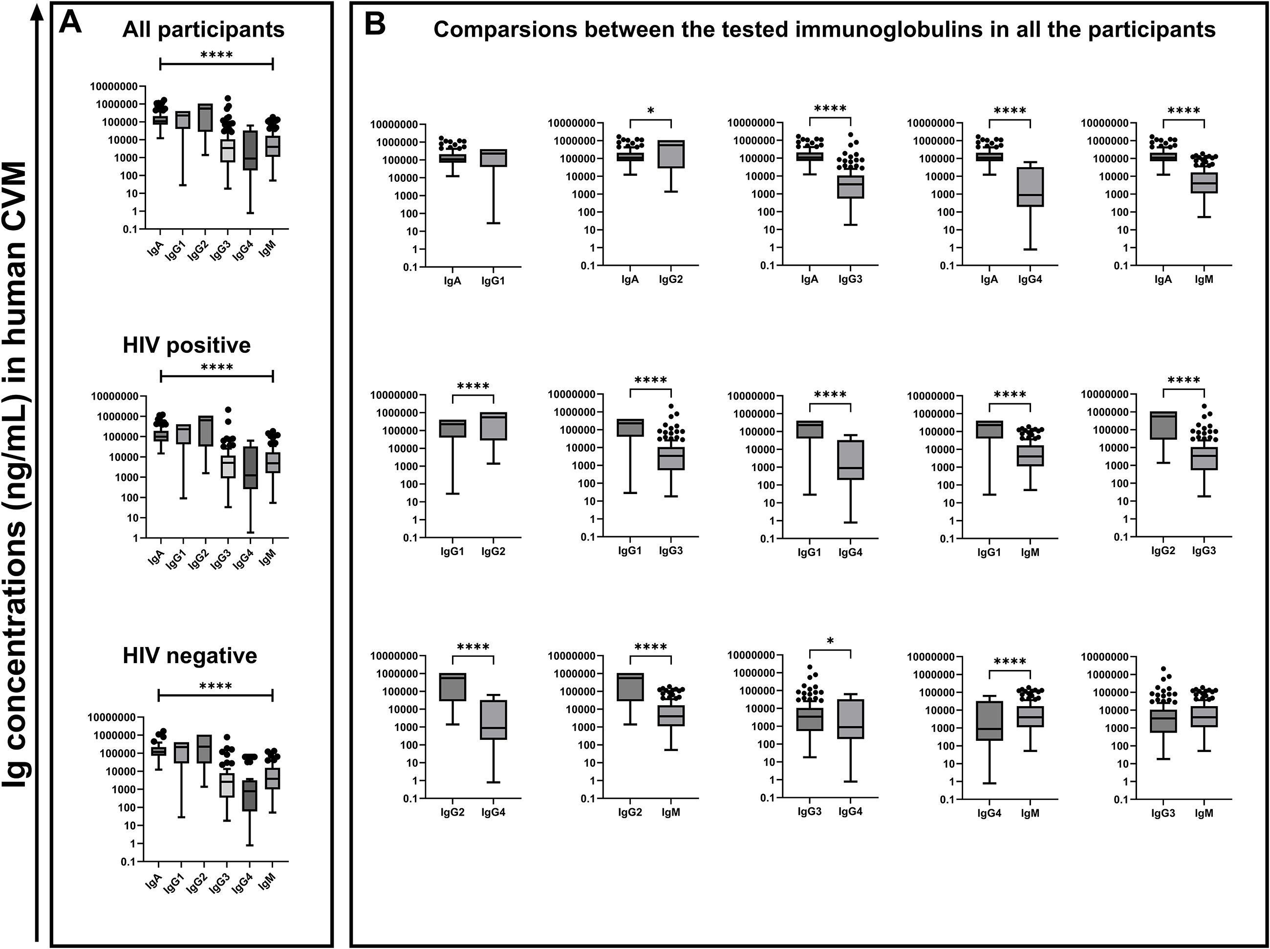 Box plots comparing immunoglobulin concentrations in human cervical vaginal mucus (CVM). Panel A shows results for all participants, HIV positive, and HIV negative groups. Panel B provides comparisons between immunoglobulin types (IgA, IgG1, IgG2, IgG3, IgG4, IgM) across all participants. Notable significance levels are indicated with asterisks.