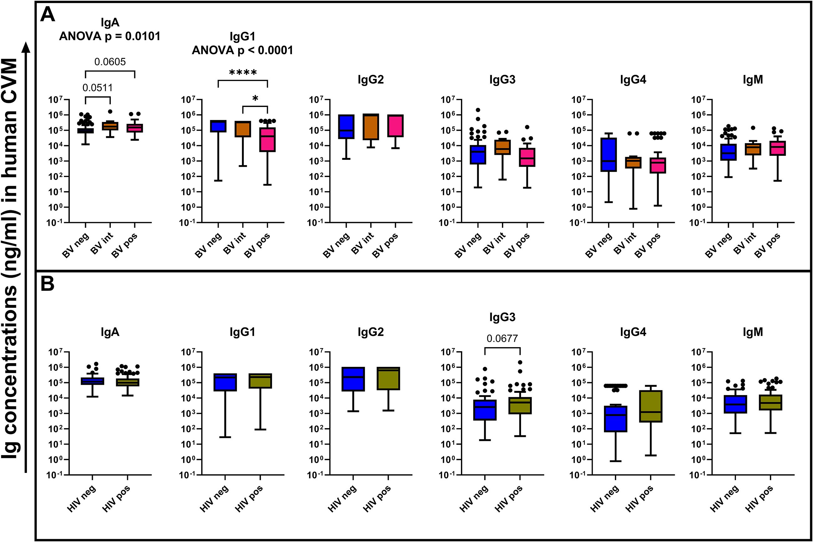 Box plots display immunoglobulin (Ig) concentrations in human cervicovaginal mucus (CVM). Panel A shows IgA and various IgG responses categorized by bacterial vaginosis (BV) status: negative, intermediate, and positive. Notable significance is seen in IgG1. Panel B presents Ig concentrations relative to HIV status: negative and positive, with notable significance in IgG3. Logarithmic scales are used, with outliers indicated by dots.