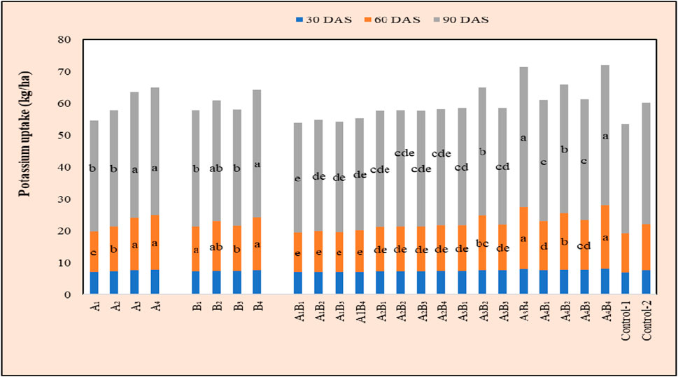 Bar chart showing potassium uptake (kg/ha) across various treatments labeled A1 to A4, B1 to B4, AB1 to AB4, AI, AIB, AIB+, ARB, and Controls. Uptake is measured at 30 DAS (blue), 60 DAS (orange), and 90 DAS (gray). The chart highlights significant differences with labels a to e for each treatment.