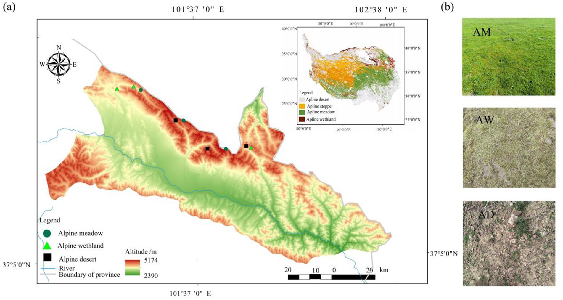 Map and terrain visuals highlighting a region with varying altitudes and vegetation types. The map shows alpine meadows, wetlands, and deserts with a color gradient indicating altitude. Insets (b) feature images of terrain types: AM (Alpine Meadow) with lush green grass, AW (Alpine Wetland) with sparse vegetation, and AD (Alpine Desert) with rocky, barren ground. A compass and scale are included for orientation.