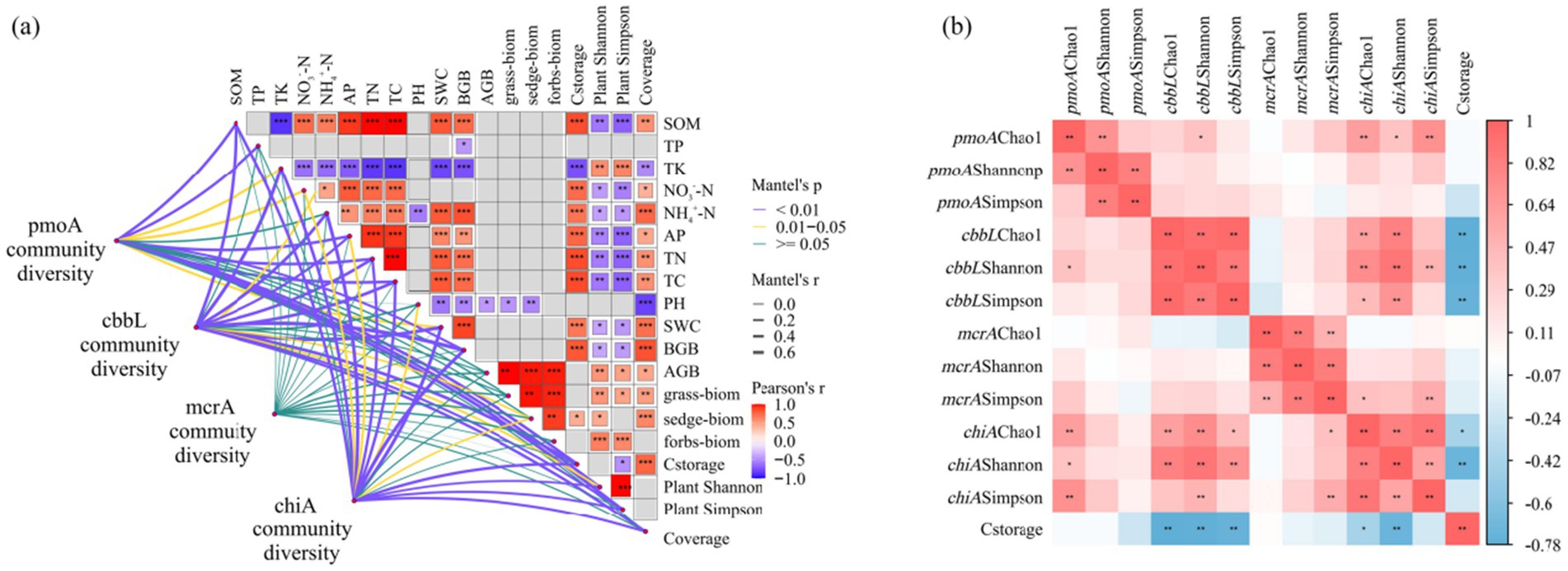 Diagram consisting of two panels labeled A and B. Panel A features a correlation matrix with colored lines connecting variables like pmoA, cbbL, mcrA, and chiA community diversity to soil properties and biomass factors. Panel B is a heatmap showing Pearson correlation coefficients among microbial diversity indices, C storage, and environmental factors. Red and blue indicate positive and negative correlations respectively. Significance levels are indicated by asterisks.