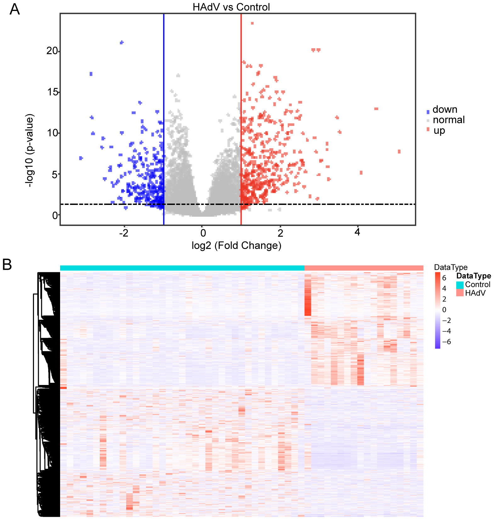 Panel A shows a volcano plot comparing HAdV and Control, with blue points indicating downregulated genes, red for upregulated, and gray for normal. The x-axis represents log2 fold change and the y-axis is the negative log10 of the pvalue. Panel B presents a heat map displaying gene expression levels, with colors ranging from purple (low expression) to orange (high expression), comparing HAdV and Control groups.