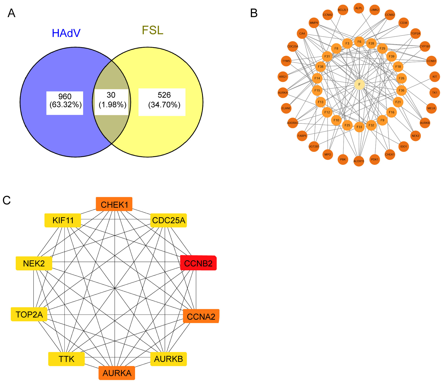 Composite image showing FSL therapeutic targets against HAdV infection: (A) Venn diagram highlighting 30 overlapping targets between FSL bioactive compounds and HAdV-related genes; (B) PPI network with primary targets as red diamond-shaped nodes, sized by degree; (C) core genes identified via CytoHubba, with node colors transitioning from light yellow to red to indicate increasing centrality.