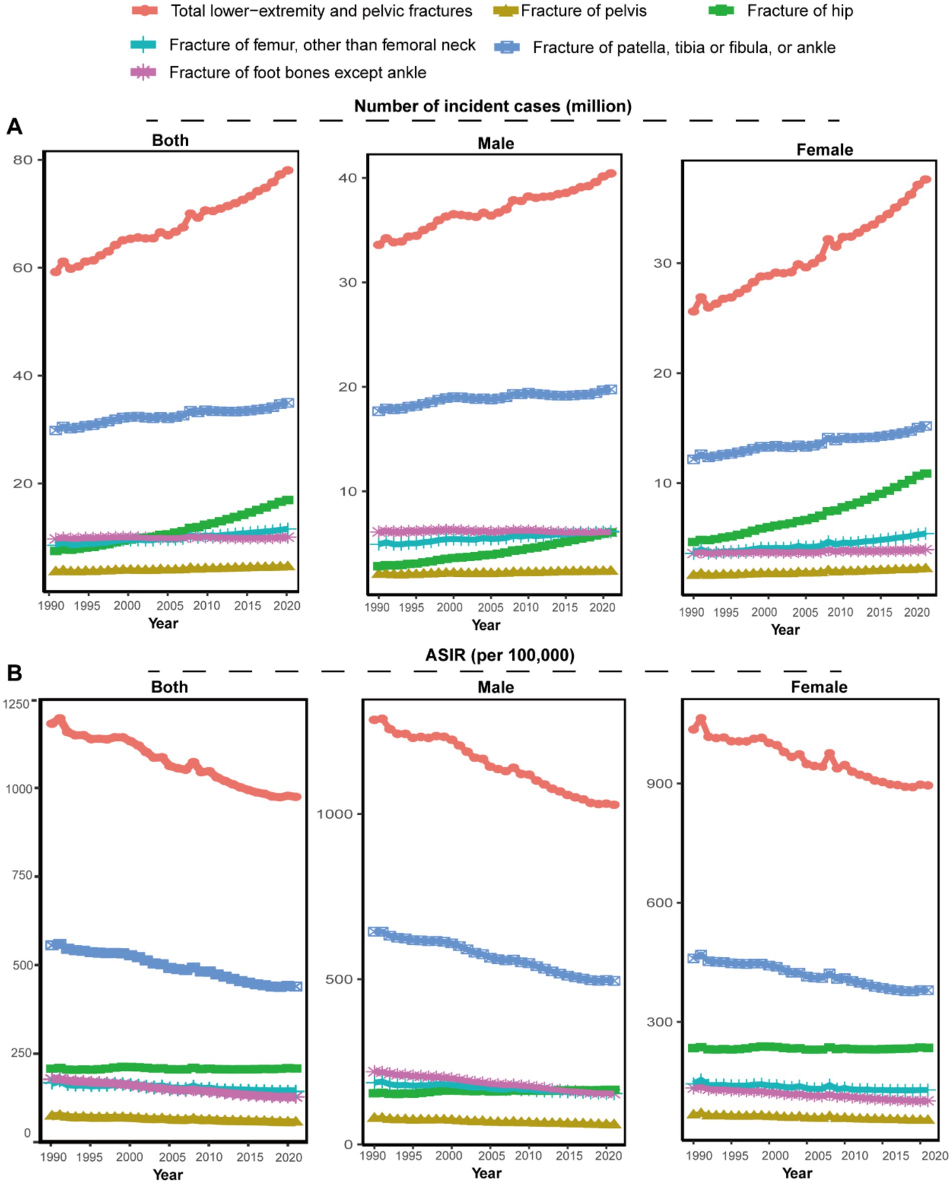 There are two sets of line graphs labeled A and B, each divided into sections for both genders, male, and female. Graph A shows the number of incident fracture cases from 1990 to 2020, with total lower-extremity and pelvic fractures in red having the highest count, showing a general increase. Graph B depicts the age-standardized incidence rates (ASIR) per 100,000, with the red line showing a decreasing trend. Other colors represent various fracture types, with femur, pelvis, hip, patella, tibia, fibula, ankle, and foot fractures included, each displaying different trends over time.