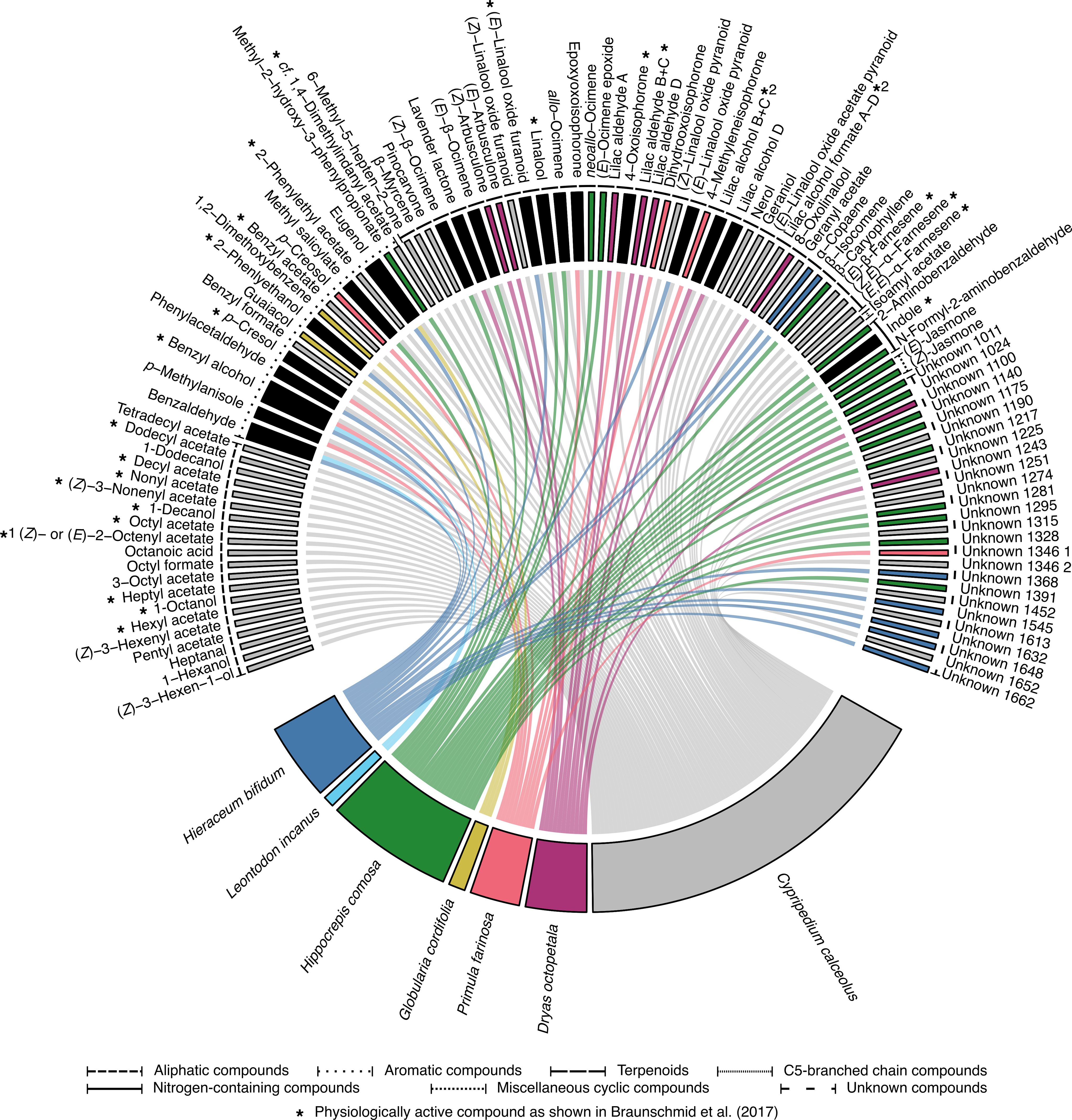 Circular diagram with the six rewarding species and the deceptive species Cypripedium calceolus represented in colored segments at the bottom that are connected by lines to the 105 chemical compounds detected across all samples and species and listed around the top arc. The compounds are categorized by line styles into aliphatic compounds, aromatic compounds, terpenoids, C5-branched chain compounds, nitrogen-containing compounds, miscellaneous cyclic compounds, and unknown compounds. Physiologically active compounds are marked with an asterisk.